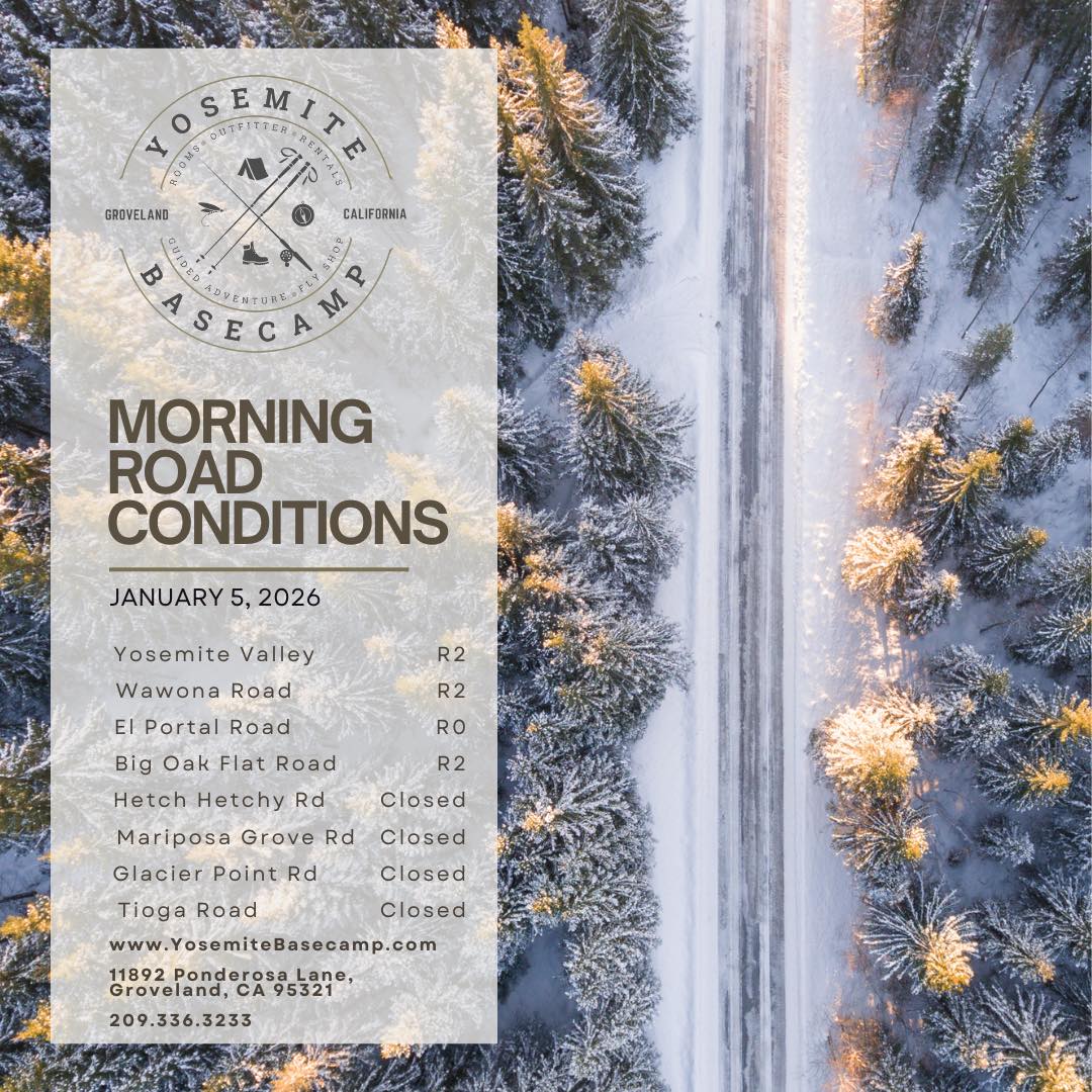 So much snow over the weekend! Remember that road conditions change quickly, so tire chains/cables are required in your vehicle when entering a chain controlled area regardless of current conditions.
❄️Requirement 0 (R-0): Chains are not required on your tires at this time.
❄️Requirement 1 (R-1): Chains are required on all vehicles except vehicles with snow tires.
❄️Requirement 2 (R2): Chains or cables are required on all vehicles except four-wheel/all-wheel drive vehicles with snow tires.
❄️Requirement 3 (R3): Chains or traction devices are required on all vehicles, no exceptions.
The Yosemite Basecamp in downtown Groveland is open at 8 every day for travel information, tire chains, new and used gear and more!
________________
Badger Pass Update:
The Badger Pass Road, Badger ski area, and Nordic Rental Center have not yet opened for the season. Nordic Routes in this area are open, however, and only accessible via the #7 Chinquapin trail, located to the right of the restroom from the Chinquapin parking area. The Chinquapin trail is 2.5 miles long, gains 1000' in elevation and ends at the Badger Pass A-Frame, where overnight visitors must obtain a Wilderness Permit.
The Badger Pass A-frame is currently open and staffed 7 days/week by NPS Wilderness staff to answer questions and issue Overnight Wilderness permits. A-frame hours are 8:45am-4:15pm, intermittently. The Ostrander Ski Hut is open for the season; reservations are required and available from Yosemite Conservancy. Call (209) 372-0408 with questions or for current ski/snow conditions.