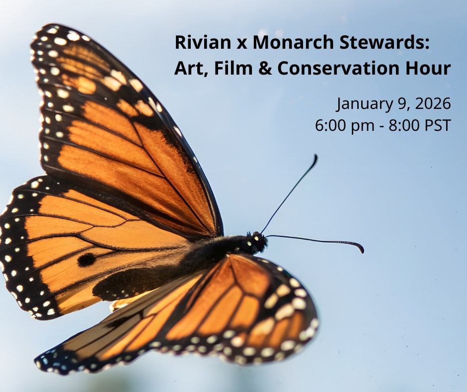 🦋⚡️ Art, film, and the future of conservation.
Join @rivianofficial and the recipient of our @cafoodandag Pollinator Habitat Grant, Farmer Ole Schell of @west_marin_monarchs, for an evening celebrating the Western monarch butterfly — with photography, a short film, conversation, and drinks!
📍 Rivian Space, SF
🗓 Friday, Jan 9 | 6–8pm
🎟 Free — RSVP encouraged
RSVP at the link in our bio!
#nonprofit #conservation #rivian #monarchs #monarchbutterflies #pollinators #bees