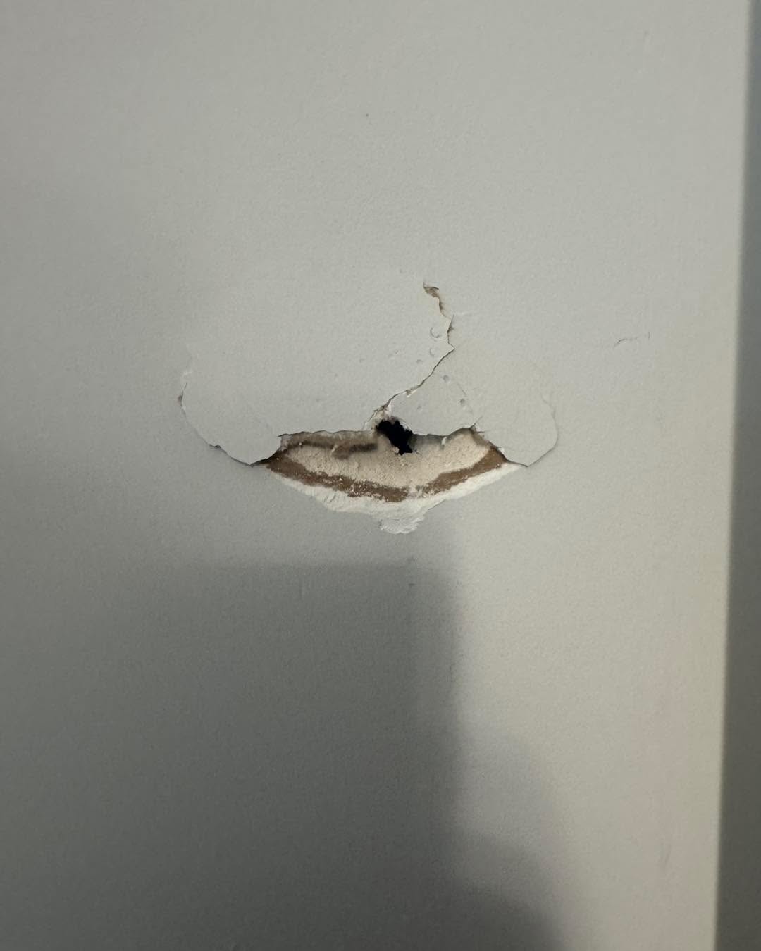 Quick patch-and-paint job after a towel rack pulled out of the drywall. Cleaned up the damaged area, repaired the hole, and blended everything back in with fresh paint. Paint's still a little wet in the photos, but the finish dried smooth and seamless. Another small fix that makes a big difference for the homeowner.