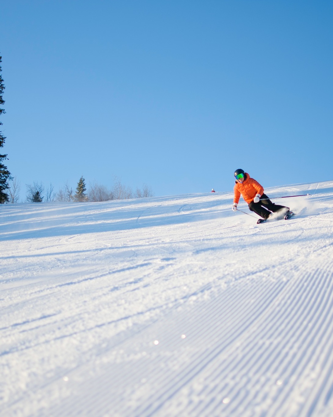 Vill du bli en bättre skidåkare? 💙
Varmt välkommen till en digital lunchföreläsning för dig som är kvinnlig skidåkare och vill få konkreta tips på hur du kan utveckla din skidåkning. 🎿
❄️ Fredag 16 januari
❄️ Kl. 12.00-12.30
🦋 Föreläsningen leds av Johanna Nygård, med över 10 års erfarenhet som skidinstruktör och coach i Sverige och Schweiz.
Gratis att delta.
Läs mer om föreläsningen på vår hemsida.
📷
1. Maja Tekla
2. Jesper Wåhlstedt
