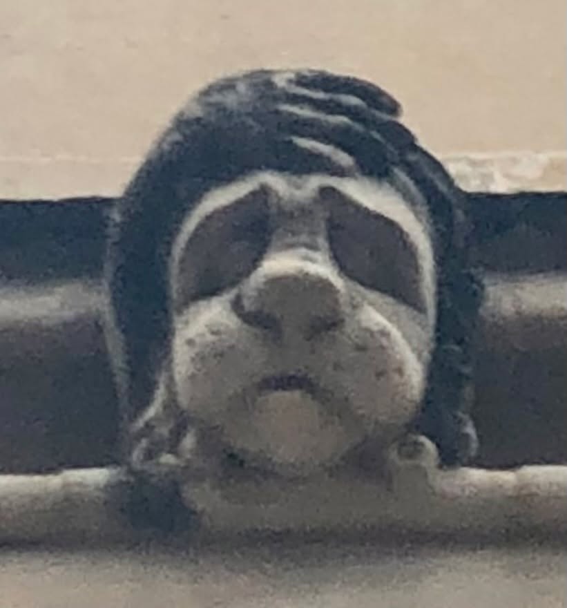 Feeling weary? This chap certainly is: the face represents 'tired' in a hidden message on #exetercollegeoxford. Take a tour to find out more, or book my 'Oxford wordplay' talk.
#offbeatcotswolds #bluebadgeguide #bluebadgeguides
#britainsbestguides
#oxforduniversity #Tired #weary
#explore_britain_ #traveling_uk
#photosofengland #instabritain #europetravel