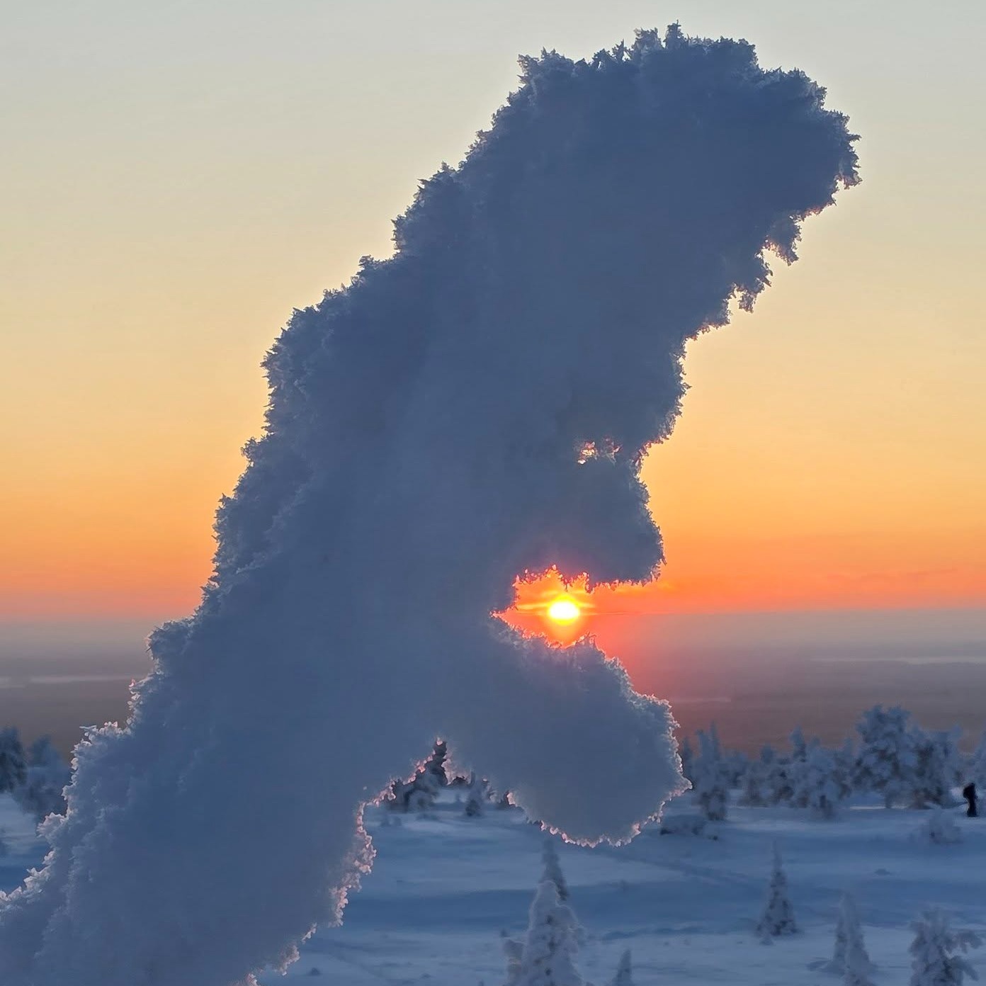 I love it when our guests ask me questions 💙
So here’s how this cold and long winter darkness was explained long before science.
We Finns believed the deep cold and endless night were caused by Louhi, the powerful witch of the North. According to the myth, Lady Louhi (my favourite character in Kalevala) kidnapped the Sun and the Moon and hid them inside a mountain or a great stone, plunging the land into darkness and frost.
In midwinter, the sun only comes to peek at the horizon — just for a moment — and then the blue twilight returns again.
This is why I think this might be the most beautiful season in Riisitunturi National Park.
Not dark. Just blue, soft, quiet and calm. And cold.
These photos were taken in 2-7th January at Riisitunturi. In one photo you can see the sun, and in the other the moon. Guess which is which.
#midwinter #riisitunturinationalpark #riisitunturi #laplandmagic #finnishmythology #louhi #bluehour #winterstories #nordicwinter