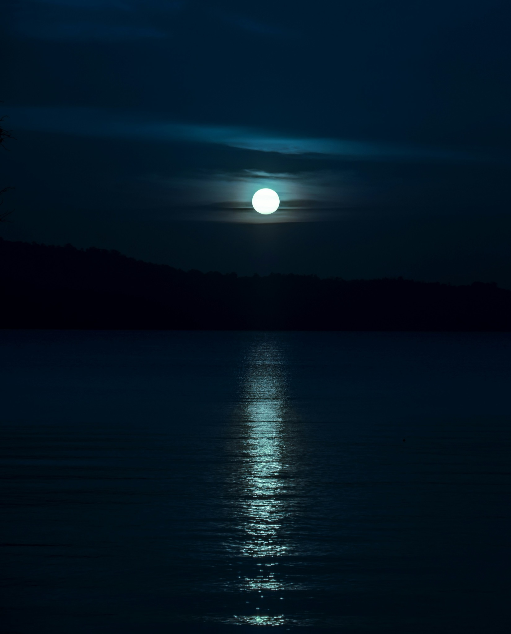 ✨ Ce soir, et pour quelques nuits encore, je suis dame de compagnie et veilleuse de nuit pour une dame dans la région de Terre Sainte.
Son domaine s’ouvre sur le lac, et en terminant ma ronde, j’ai été saisie par la beauté de la lune et son reflet sur le lac Léman.
🌙 Les notes du nocturne “Rêve d’amour” de Liszt ont alors résonné en moi, et m’ont rappelé le pouvoir apaisant de la musique…
😞Pour beaucoup de personnes âgées, la nuit apporte son lot d’anxiété. Sentir une maison vivante, entendre quelques notes de musique, et bénéficier d’un accompagnement nocturne bienveillant est un vrai réconfort.
🎹Je reprends le piano après plus de 30 ans d'arrêt, et chaque morceau est un défi et un émerveillement. Mon piano numérique m’accompagnera bientôt partout où le besoin s'en fera sentir, et j’aurai peut-être la joie de partager ces instants musicaux avec vos proches, dans le confort de leur domicile.
————————————
Tiphaine, votre dame dame de compagnie et accompagnante en fin de vie au service des seniors en perte d’autonomie.
*Par souci de discrétion envers les familles qui me font confiance, les noms et lieux ont été modifiés mais les récits reflètent des faits vécus.
#procheaidant #aidantfamilial #AideAuxSeniors #grandsparents #mamie #PersonnesAgées #maintienadomicile #nyon #aideadomicile #seniorcare #Alzheimer #Démence #Accompagnement #AideÀDomicile #Parkinson #accompagnementSenior ##présencebienveillante
©Photo de Nabil Naidu sur Unsplash