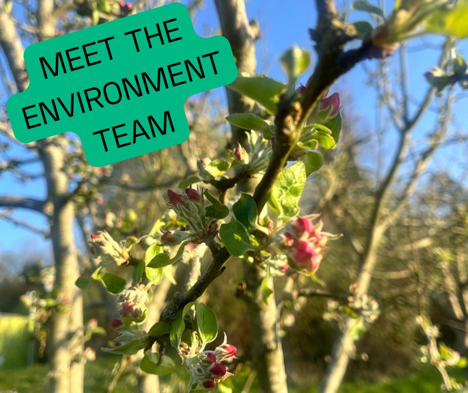 Meet our Environment Team!
🌿 Helping Overton’s green spaces thrive 🌿
One of the busiest teams in Sustainable Overton is our Environment Team. From Overton Hill Meadows to the Community Orchard, our volunteers manage, protect and enhance local green spaces so nature — and people — can thrive.
💚 Want to get involved? Join our friendly volunteer team and help care for the places we all love.
👉 To volunteer with us, just get in touch via our website or send us a message .