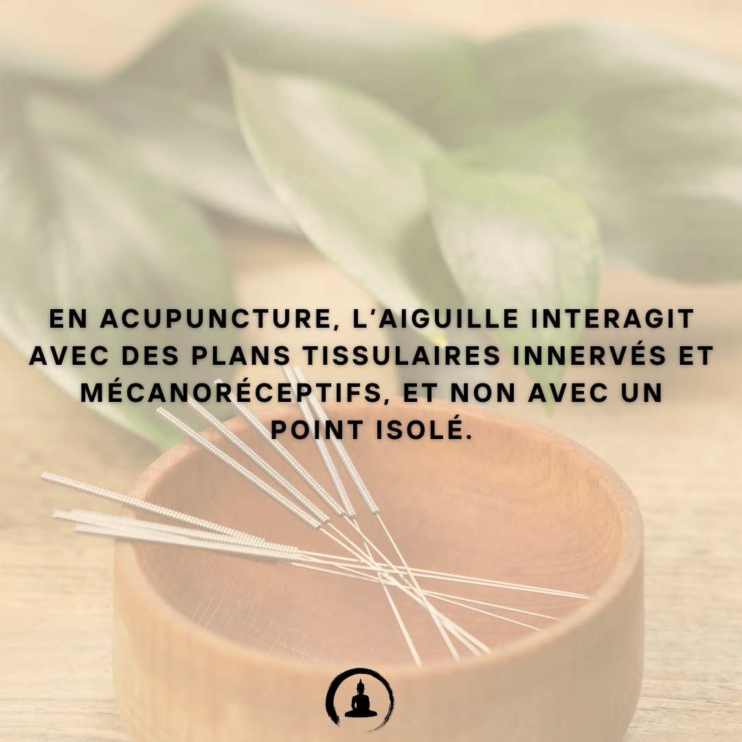 En acupuncture, l’aiguille interagit avec des plans tissulaires innervés et mécanoréceptifs, et non avec un point isolé.
#MédecineChinoise #ConscienceDigestive #SantéHolistique #MangerEnConscience #ÉcouteDuCorps #MédecineÉnergétique #AlimentationConsciente #DigestionNaturelle #Qi #Fascias #RespectDuCorps #BienManger #SagesseDuCorps #SantéNaturelle #SoutienDigestif #TaoDeLaSanté #SantéPréventive #ÉquilibreIntérieur #AlimentationÉnergétique