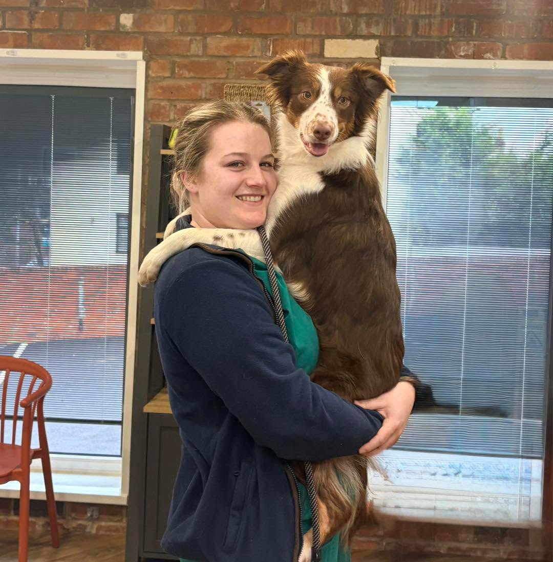 🎉 Congratulations, Becka! 🎉
We’re thrilled to announce that our nurse, Becka, has been promoted to Deputy Head Nurse! 🐾💉 Becka will continue her usual roles—consultations, stock control, and assisting in operations—but will now also take on additional responsibilities.
Please join us in celebrating Becka’s achievement and wishing her all the best in her new role! 🌟