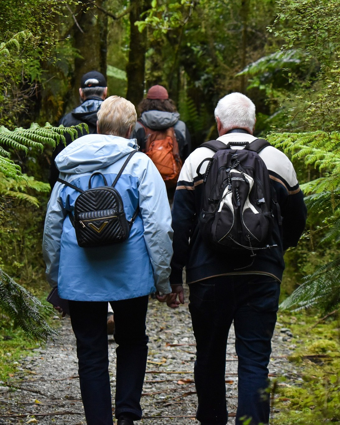 As you walk to the Kōtuku nesting site, explore the lush rainforest with its towering, ancient Kahikatea trees and rich diversity of flora and fauna 🌿
Our knowledgeable guides will interpret the seasonal highlights and the rich natural beauty around you, sharing how dedicated conservation work is helping to protect the White Herons and their Sanctuary 🪽
#kotuku #whiteherontour #whiteheronsanctuary #waitangirotonaturereserve #whatatoa #franzjosef #birdsnz #nzbirds #rainforest #naturetournz #birdsandnaturenz #naturenz #wildlifenz #floraandfaunanz #guidedwalknz #predatorfree #conservationtourism #purenz #birdwatchingtour #royalspoonbills