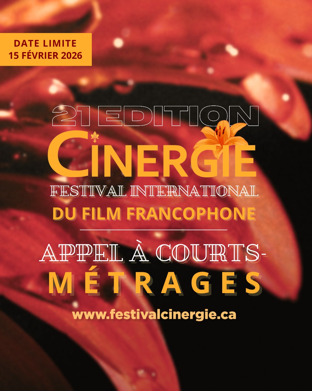 đ„ Le Festival CINERGIE annonce l'ouverture de son appel Ă courts-mĂ©trages.
Ne laissez pas passer cette opportunitĂ© dâĂȘtre sĂ©lectionnĂ© ! đ€©
âĄïž Utilisez le formulaire au lien dans notre bio, ou Ă©crivez-nous Ă info@cinergiesk.ca pour soumettre votre court-mĂ©trage gratuitement.
- Date limite de soumission : 15 février 2026
âĂ noter : les courts-mĂ©trages doivent ĂȘtre :
⚠En français avec sous-titres anglais.
⚠Ou en anglais avec sous-titres en français et réalisés par une équipe majoritairement francophone en situation minoritaire.
⚠Ou en langue ayant un lien avec la francophonie (ex. : créole) avec sous-titres en français.
âš Dâune durĂ©e de moins de 20 minutes.