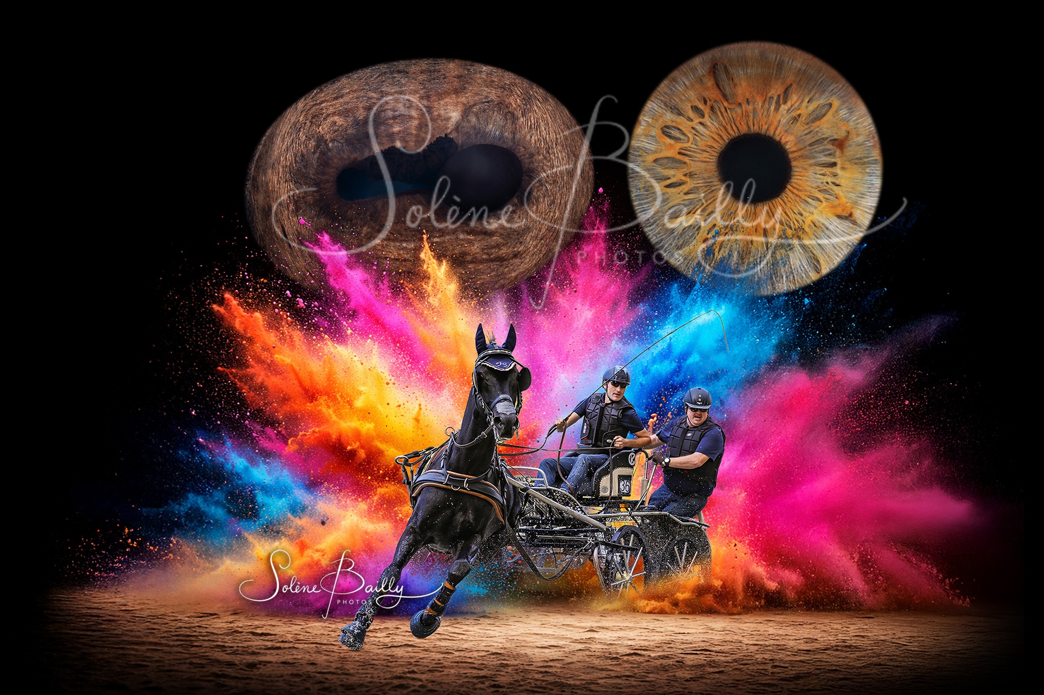 ✨ Nouveauté 2026 ✨
Il y a quelque temps, je vous avais présenté un type de montage photo intégrant les iris d'un cavalier et de son cheval dans un décor.
L’idée de les personnaliser avec une vraie photo du cavalier et de son cheval me trottait déjà dans la tête, mais vos retours m’ont confirmé que c’était une piste à développer et m’ont donné envie de la travailler davantage.
Aujourd’hui, je suis heureuse de vous proposer de nouvelles créations, où vous pouvez intégrer la photo de votre choix (libre de droits) pour créer un souvenir unique qui reflète vraiment votre duo (ou trio, etc.).
Je crois profondément qu’il faut savoir s’adapter à son temps, à la modernité, et utiliser les nouvelles techniques et technologies pour créer autrement.
Mais sans jamais perdre l’essentiel : l’authenticité de l’instant, le lien, l’émotion vraie.
👉 Alors j’aimerais beaucoup avoir vos avis :
Qu’en pensez-vous ?
Est-ce une évolution qui vous parle ?
Aimeriez-vous voir ce type de création dans vos souvenirs photo ? 💬✨
Quelle que soit votre discipline (CSO, Dressage, Concours Complet, Attelage, Voltige, Pony Games, Ethologie, etc.), même une photo en liberté pourra faire l’affaire !
.
.
.
#photographequin #photographieiris #portraitcheval #iris #irisanimal #cheval #cavalier #horsephotography #equinephotography #horsemanship #dressage #jumping #equitation #passioncheval #complicité #chevaletmoi #shootingcheval #shootingcavalier #instacheval #instahorse #equineartist #creativephotography #artphotography #horselovers #equestrianlife #equestrianphotography #photographeprofessionnel #horses_of_instagram #liencavaliercheval #iriscavaliercheval