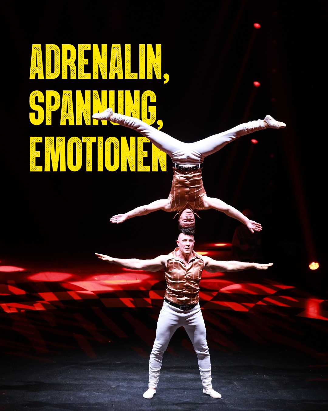 Für die kommenden Shows gibt es noch ein paar letzte Tickets. Schaut am besten jetzt sofort rein und sichert euch einen der letzten Plätze beim 16. Festival der Artisten. ⭐️
Wir freuen uns auf euch! 🖤💛
📸 Fotograf: HNA/Ulf Schaumlöffel @ulfschaumlöffel
👉 Den Link zu den Tickets findet ihr in unserer Bio.