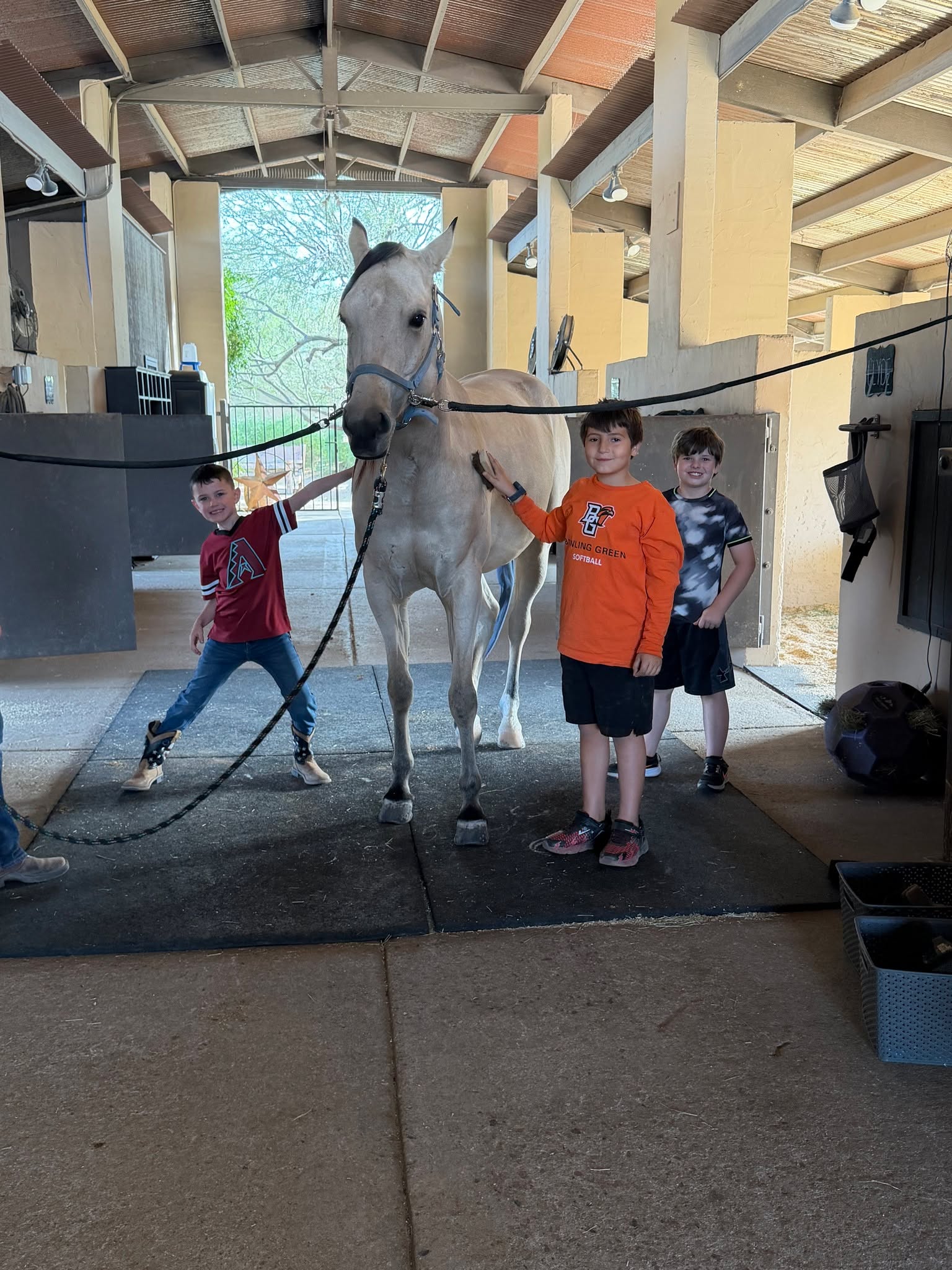Here's a quick recap of winter day camp! The boys learned all about grooming, leading, and mucking stalls; then practiced these skills in obstacle courses and relay races. We grew borax crystals, collected eggs, and played a bunch of games. We're so grateful for our human and equine friends working together! Join us for the next day camp over spring break!