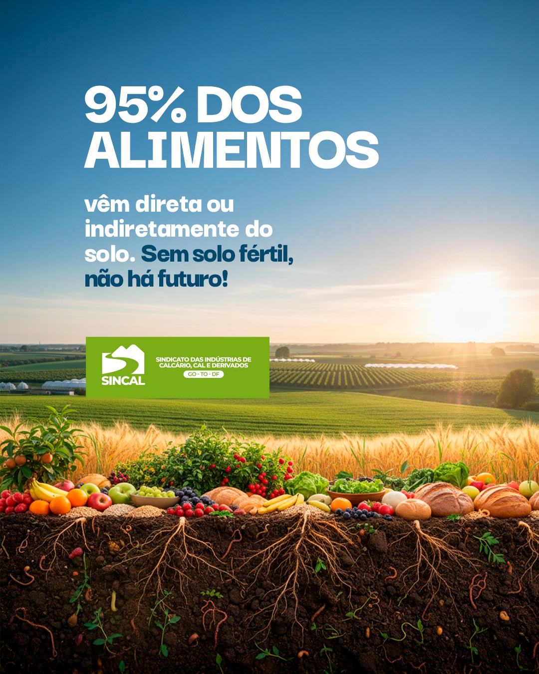 Cuidar do solo é cuidar do nosso futuro. 🌱 #CalcárioAgrícola #SoloFértil