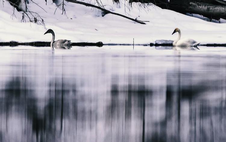 Jan 9 - beauty everyday