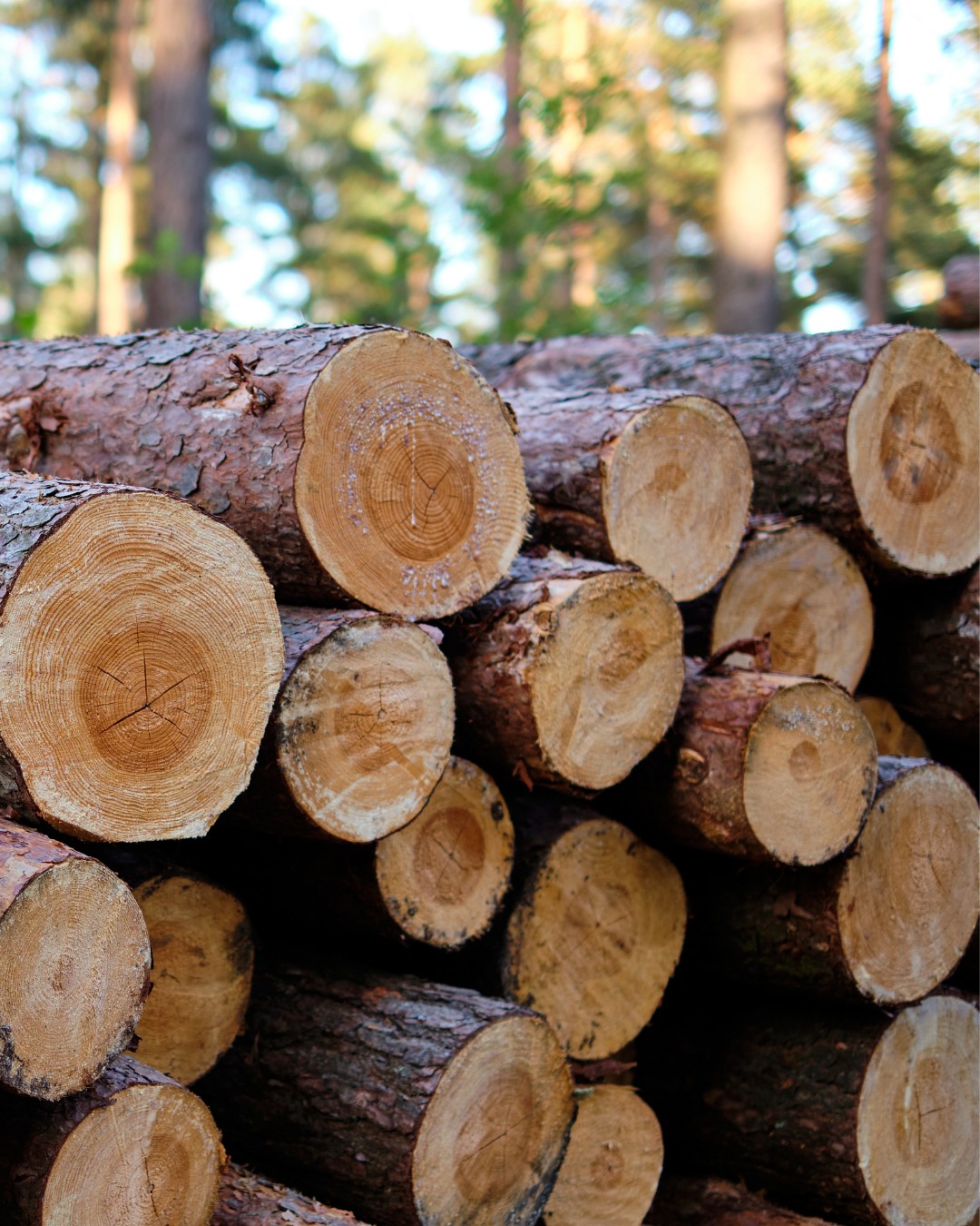 Chez Théo-Bébé, prendre soin des bébés, c’est aussi prendre soin de leur avenir 🌱
Nous sommes fiers de proposer des meubles naturels, éco-responsables et fiables, conçus dans le respect des tout-petits et de la planète.
✔️ Des meubles testés et certifiés selon les normes françaises et européennes les plus strictes, par des laboratoires indépendants, pour garantir la sécurité de bébé au quotidien.
✔️ Des fermetures douces sur toutes nos portes et tiroirs, pour plus de confort, de silence et zéro risque de doigts pincés.
✔️ Un engagement environnemental fort, reconnu par le Label Eco Impact B, qui mesure l’impact écologique de nos meubles, de leur production à leur commercialisation.
🌊 Pour limiter notre empreinte carbone, nos emballages sont 100 % sans plastique et entièrement recyclables.
🌳 Nous utilisons des matériaux durables et responsables : bois massif issu de forêts gérées durablement, rotin naturel respectueux des écosystèmes, MDF à très faibles émissions de formaldéhyde.
🎨 Nos peintures et vernis sont à base d’eau, non toxiques, sans solvants, pour un air intérieur plus sain, certifié Label A.
Choisir Théo-Bébé, c’est faire le choix de meubles beaux, sûrs et engagés, pour aujourd’hui et pour demain 💚👶
#theobebe #theoetlaplanete #mobilierbebe #ecoresponsable #decobebe #chambrebebe #engagement #durable #parentsresponsables