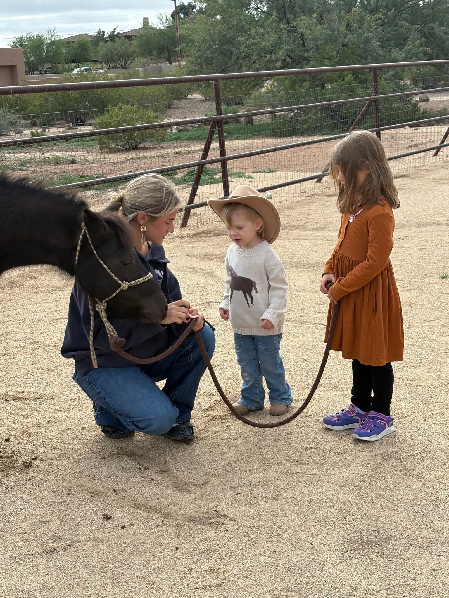 Just pony out making friends again. He's become quite the little neighborhood ambassador!