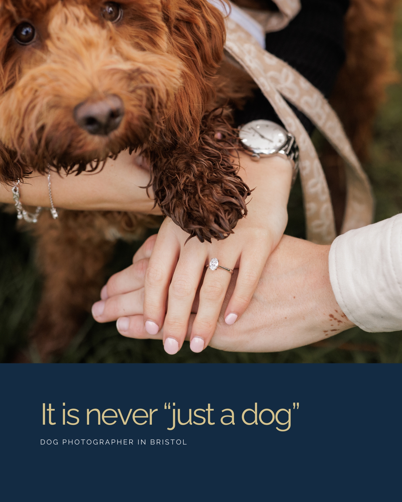 It is never just a dog.
They are part of your everyday life, your routines, and your memories.
Pet photography captures that bond in a way words often cannot.
If you are looking for a dog photographer in Bristol, you are welcome to get in touch to talk about booking.