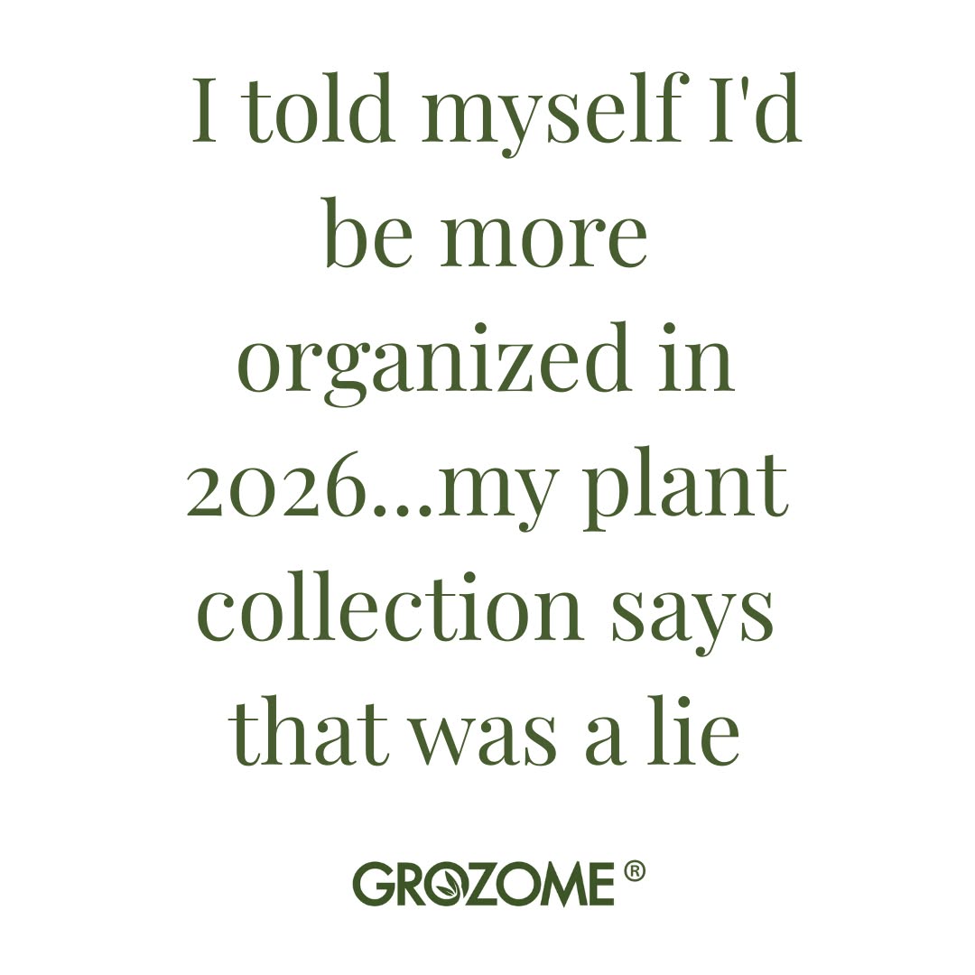 If getting organized means reorganizing your plant shelf for the third time this week...you're doing it right. đ±đ
Let's be honest, when you said you'd be more organized in 2026, you meant your plants would be beautifully arranged by size, light needs, and watering schedule. What actually happened? You bought seven more plants and now you're not sure where anything goes.
But here's the thing: **organized chaos is still a system.** And as long as your soil is healthy, your plants don't care if they're color-coordinated.
Give your plants what they actually need this year: healthy, living soil that supports growth, no matter how many times you rearrange them. đȘŽ
Ready to start fresh? Grab GROZOME's Probiotic Kit and cultivate your healthiest soil yet. Link in bio! đ±
#plantslover #plantsofinstagram #soil #SoilHealth #Probiotics
