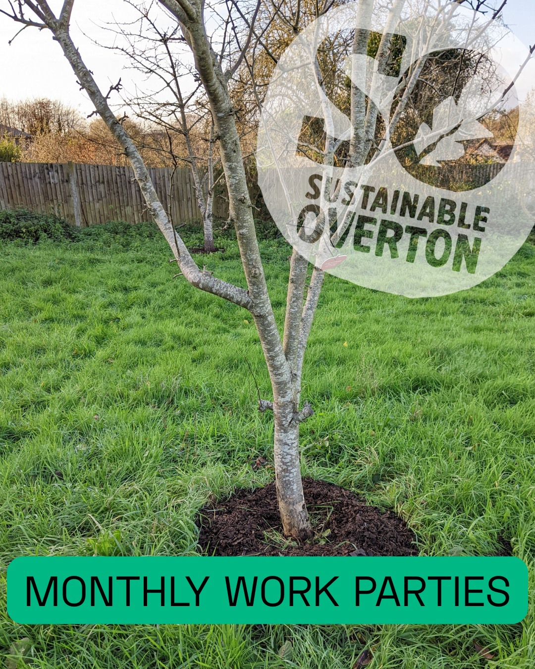 🛠️ Join our Environment Team works parties 🛠️
Upcoming dates:
📅 31 Jan 2026
📅 28 Feb 2026
📅 28 Mar 2026
⏰ 10.00am–12.00pm (stay as long or as little as you can)
No experience needed — just enthusiasm and a love of the outdoors!
🌿 Ready to get involved?
👉 Contact us via our website, or just come along.