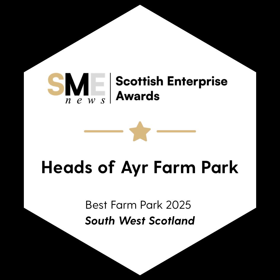We are starting off our new year with the biggest thank you to all of our friends, followers, staff, and supporters! We are delighted to have won the Best Farm Park award encompassing South West Scotland presented by the Scottish Enterprise Awards. ๐คฉ๐
We are hard at work behind the scenes with the goal to renovate our indoor play facilities and add some more exciting attractions to the outdoor park all before we reopen! ๐
๐
We can't wait to show you why we're the best in the south west - keep your eyes peeled! ๐
#headsofayrfarmpark #scotland #ayrshire #glasgow #stranraer #girvan #ayr #kilmarnock #irvine #dumfriesandgalloway #dumfries #castledouglas #scottishmums
