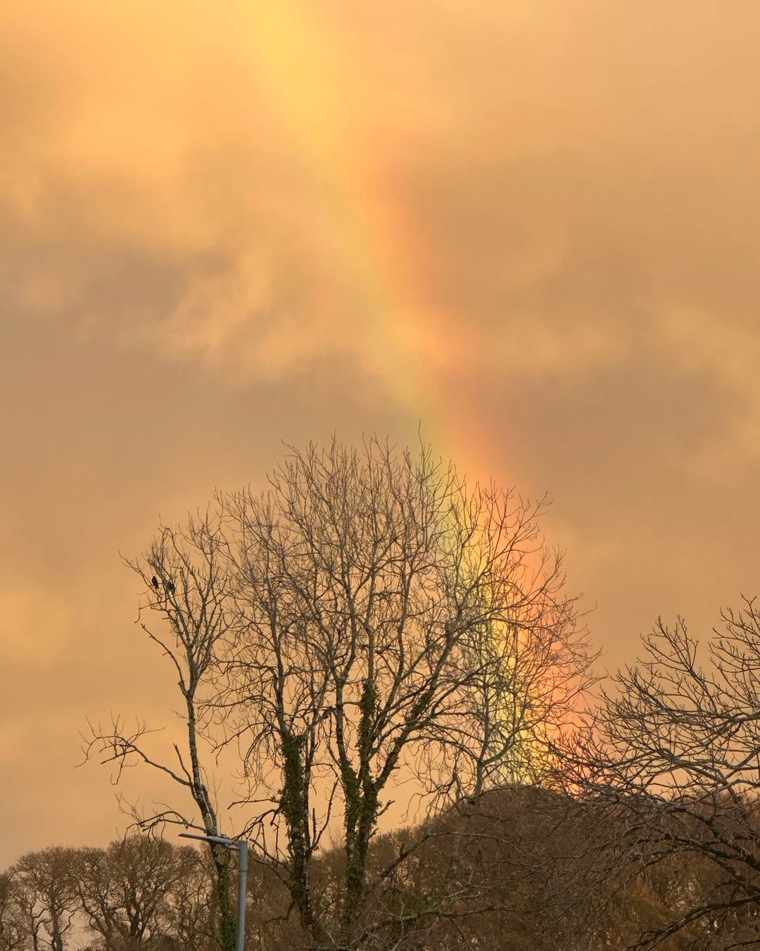 Happy New Year - "Bledhen Nowydh Da!"
Hope everyone has a good one!