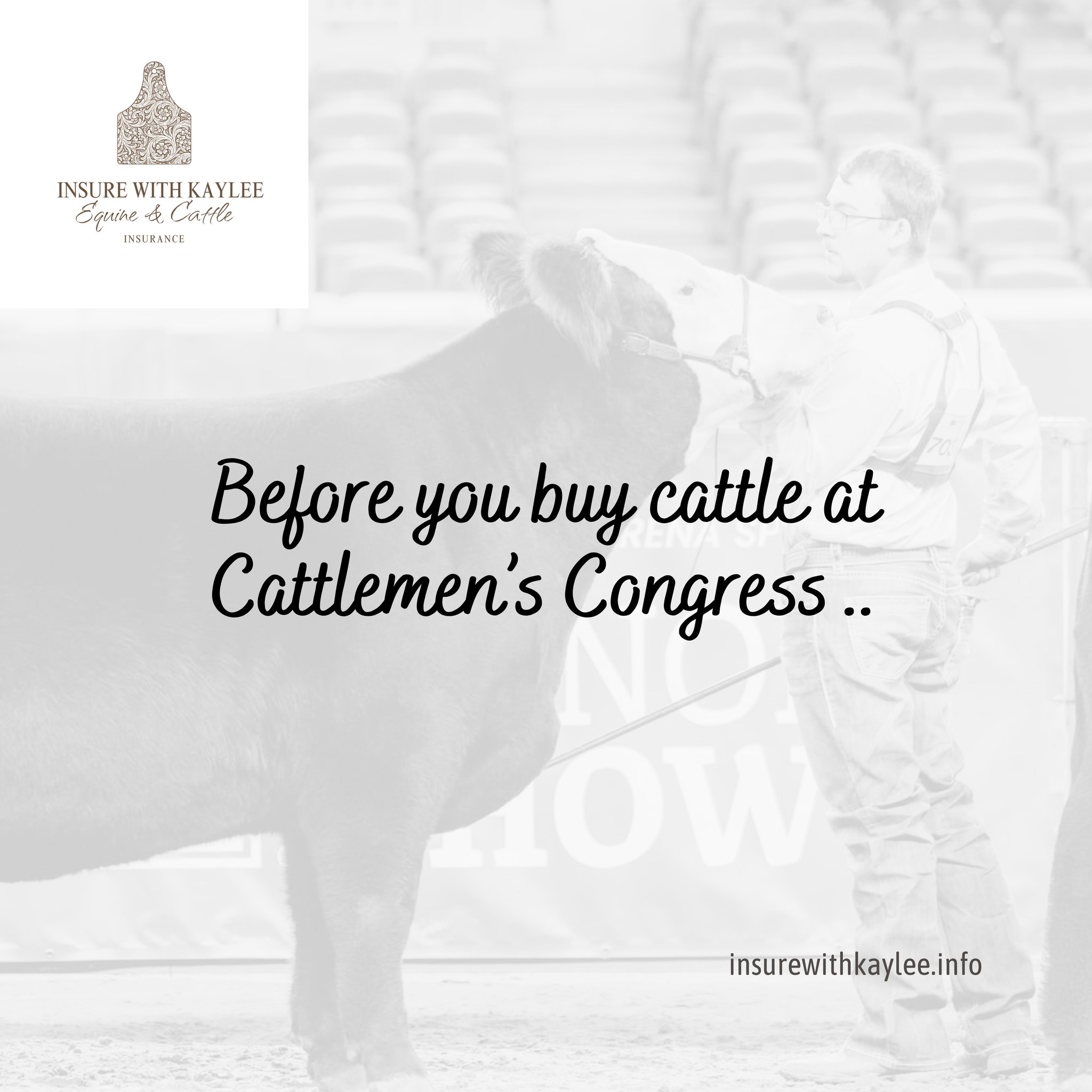 If you’re purchasing during Cattlemen’s Congress, here are a few things to keep in mind when it comes to mortality insurance:
• Proof of purchase is required
• Coverage isn’t automatic at purchase
• Timing matters more than most people realize
If you’re planning to buy — or even thinking about it — message me first so we can talk through options.
https://www.insurewithkaylee.info/
