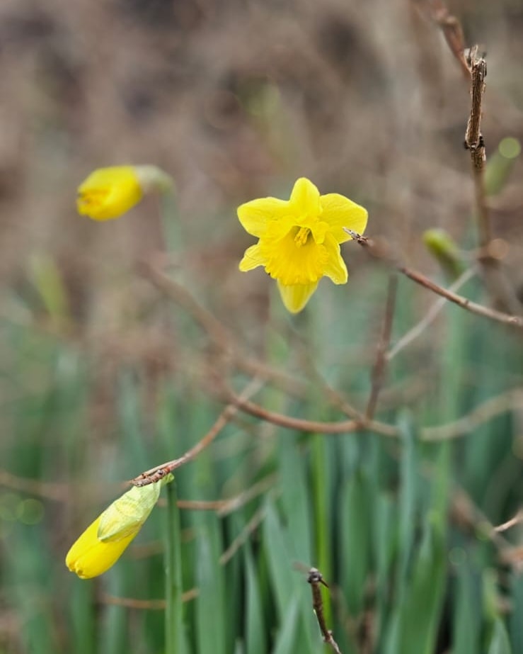 Some winter sun has done wonders