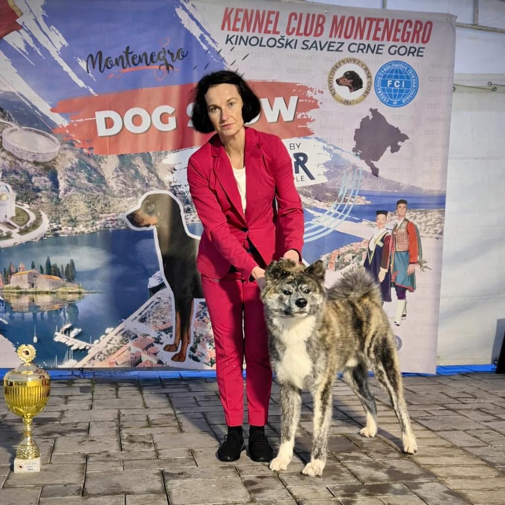 Kilka krajów, jedna misja: pokazać klasę 🏆
TAKESHI Hachiko Shibuya wraca z tytułami Grand Champion Czarnogóry i Kosowa, Champion Bałkan, Champion Macedonii/Kosowa/Czarnogóry + 2× nominacja na Crufts.
Jesteśmy mega dumni ❤️
Rodowód:
https://www.akitapedigree.com//details.php?id=118773
Katarzyna Zorines Agnieszka Zorines Mori No Kodomo
#akita #dogshow #championdog #grandchampion #crufts #doglover🐶 #proudowner #showsdogs #polskiepieski #kynologia #piesrasowy #piesrasowy❤️😍😄