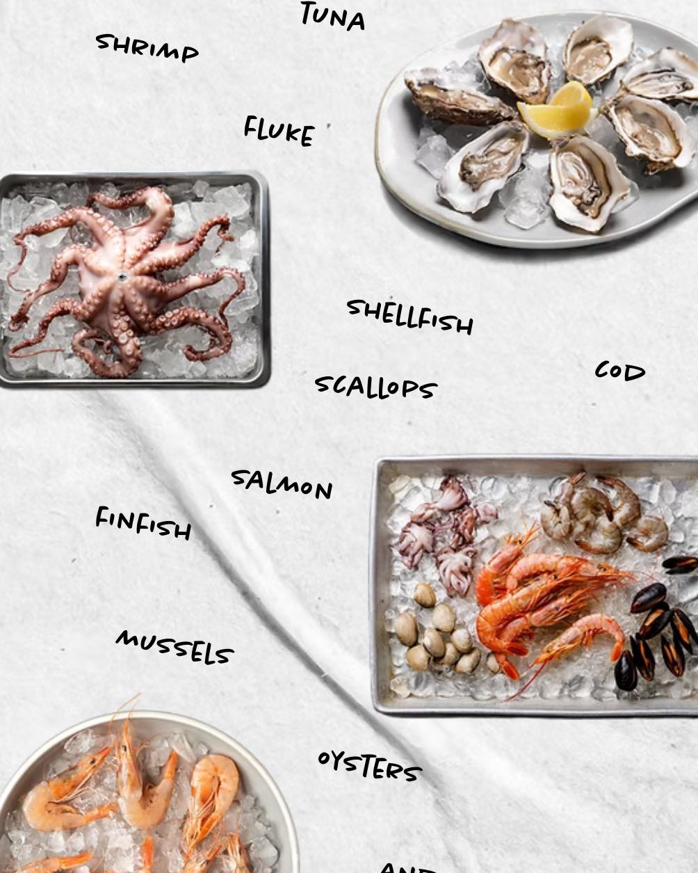 🚨🚨Is your New Year's resolution to eat more Seafood?!?🚨🚨
Out of the Blue has you covered!!
Seafood offers great health benefits like omega-3s for your brain and heart!!
Stop by Today!!
Open 7 Days a Week!!
631.728.FISH
#seafoodmarket #outoftheblueseafood #outoftheblue #longislandseafood #local #seafood #eastend #fresh #easthampton #watermill #shinnecock #hamptonbays #southampton #hamptons #longisland #bridgehampton #westhampton #montauk #newyearsresolution #health #healthylifestyle #healthfood #healthjourney #healthtips
