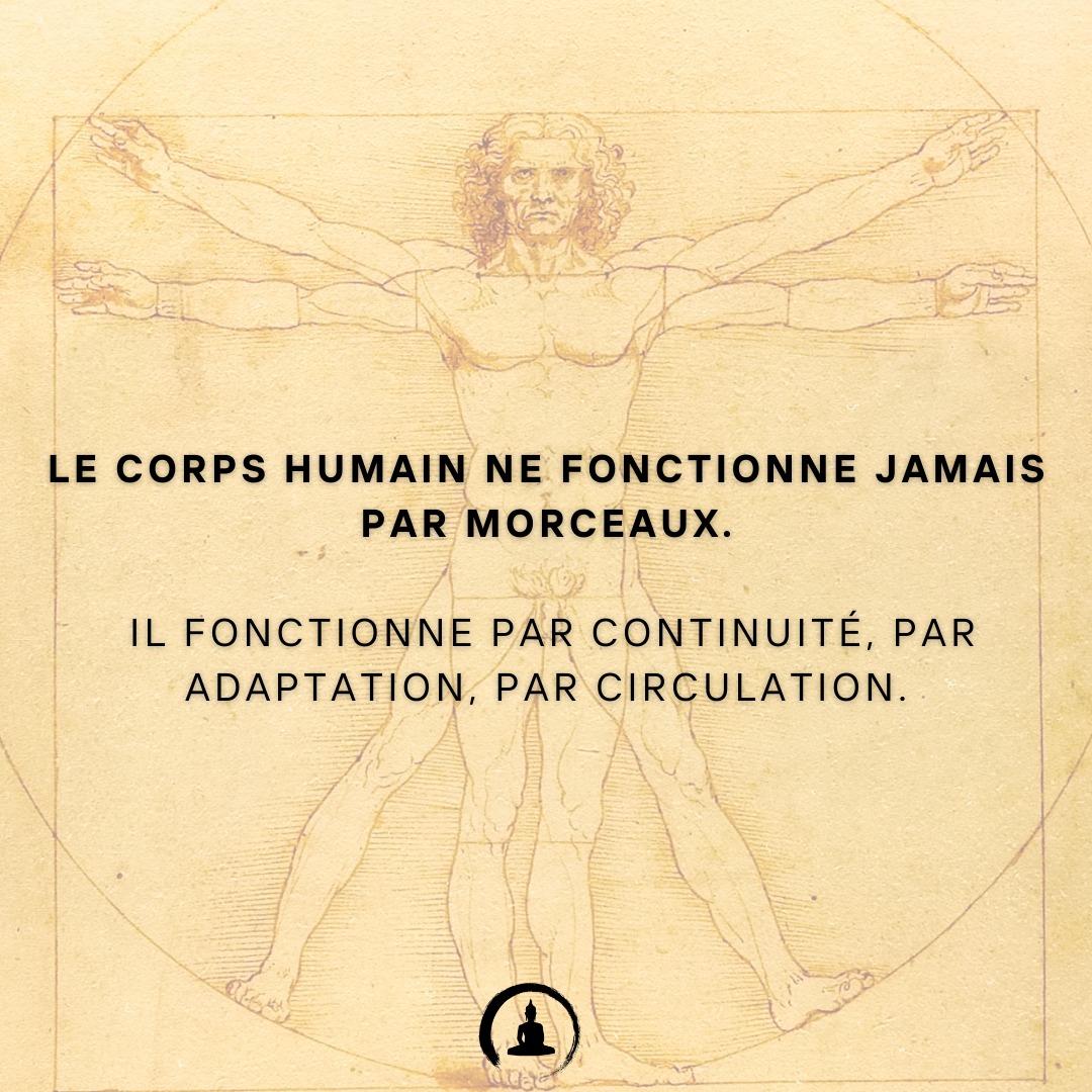 Le corps humain ne fonctionne jamais par morceaux.�Il fonctionne par continuité, par adaptation, par circulation.
#MédecineChinoise #ConscienceDigestive #SantéHolistique #MangerEnConscience #ÉcouteDuCorps #MédecineÉnergétique #AlimentationConsciente #DigestionNaturelle #Qi #Fascias #RespectDuCorps #BienManger #SagesseDuCorps #SantéNaturelle #SoutienDigestif #TaoDeLaSanté #SantéPréventive #ÉquilibreIntérieur #AlimentationÉnergétique
