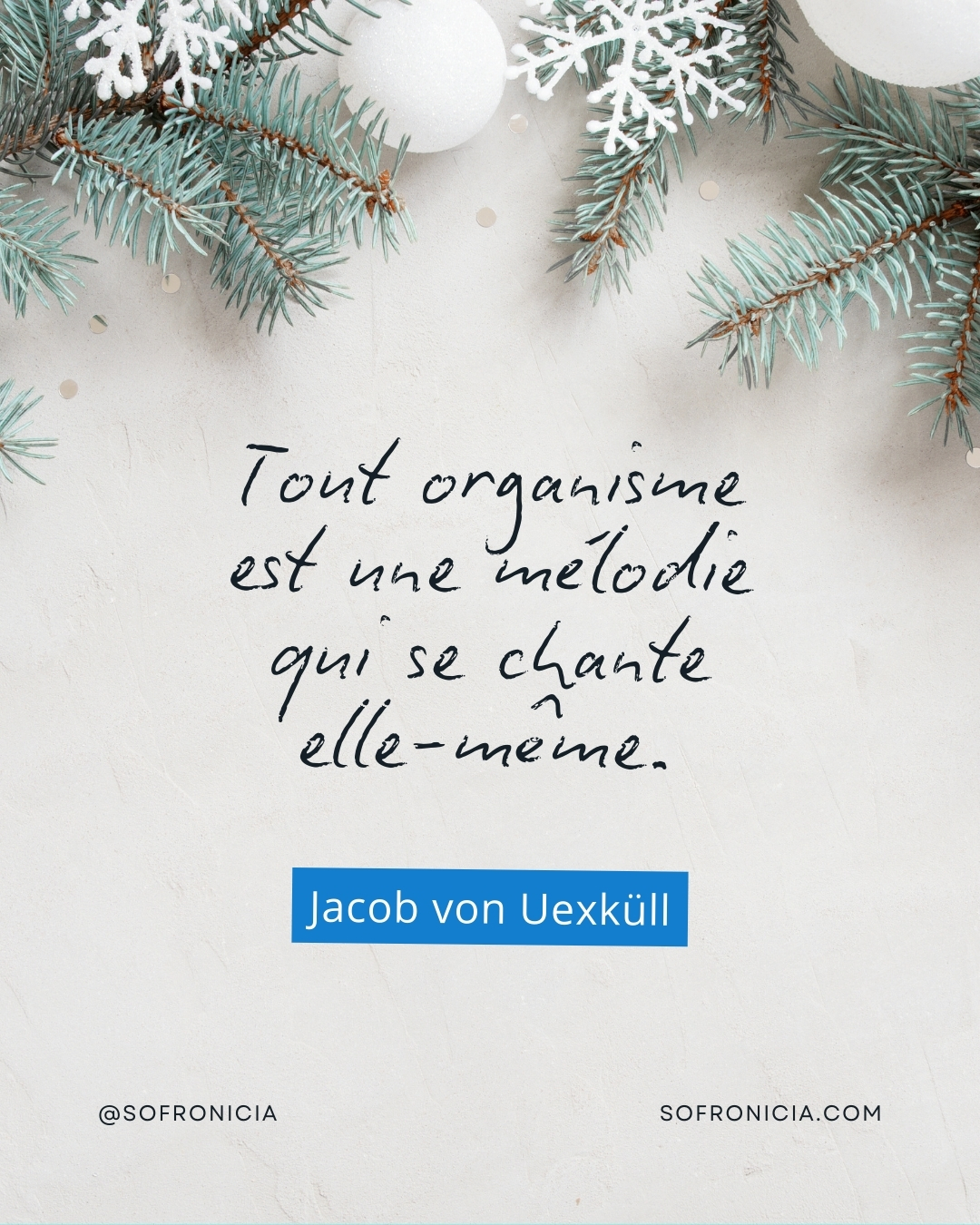 Que la vie qui se sent et s’éprouve au plus profond de nous soit source d’inspiration.
Que l’amour et l’intuition deviennent nos guides les plus fidèles.
Puissions nous tous en cette nouvelle année, nous dévoiler un peu plus à nous-même et œuvrer pour un monde meilleur.
Je souhaite que SOFRONICIA soit un lieu de rencontre, un espace de partage et le terrain d’expériences positives.
Bonne année 2026 !
Yoann Berteotti
Directeur
#sofronicia #voeux #devenirsophrologue #formationsophrologie