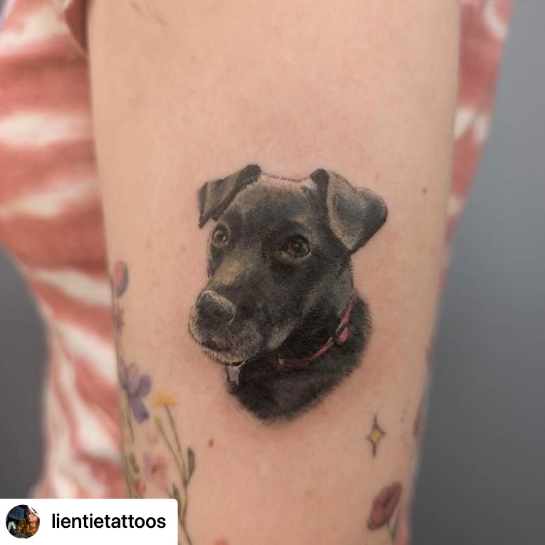 @lientietattoos Another little realism pet portrait from last week ✨ Always fun to make some little tattoos of people’s pets!
This is probably the smallest I go with them now as the smaller you go the worse tattoos are for longevity, but the ones I’ve done so far have been healing up nicely over time which is always good to see!