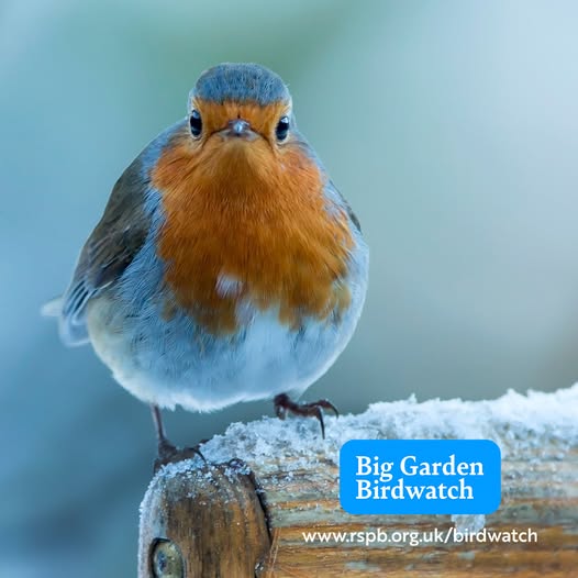 The RSPB Big Garden Birdwatch is coming up 🦆
This is a simple, fun way to do help our wildlife, and you don't even need a garden as it can be done in any green space - like a park, Overton Hill or even the churchyard.
To sign up, visit https://www.rspb.org.uk/whats-happening/big-garden-birdwatch
Let us know if you plan to join this important citizen science project :)
