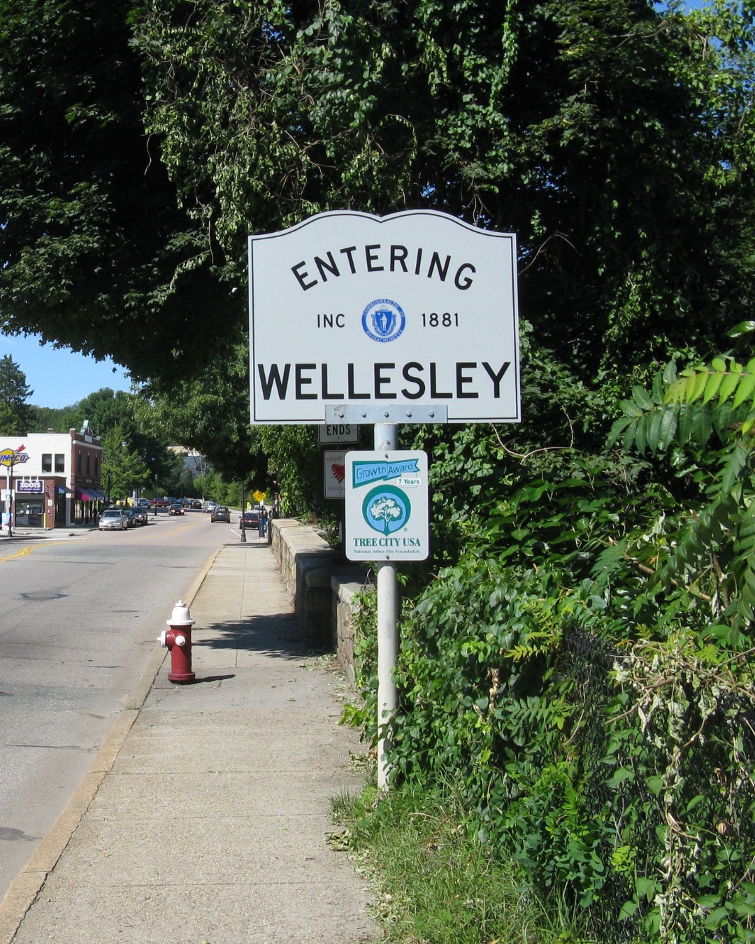 Wellesley continues to be a magnet for buyers in 2026, and it’s easy to see why:
✨ Top-rated schools
✨ Thriving small business community
✨ Career opportunities with proximity to Boston
Whether you’re thinking of moving now or planning for later, I can help you find the right fit for your family and lifestyle.
#homesbyshereen #knowledgerealtor #massachusetts