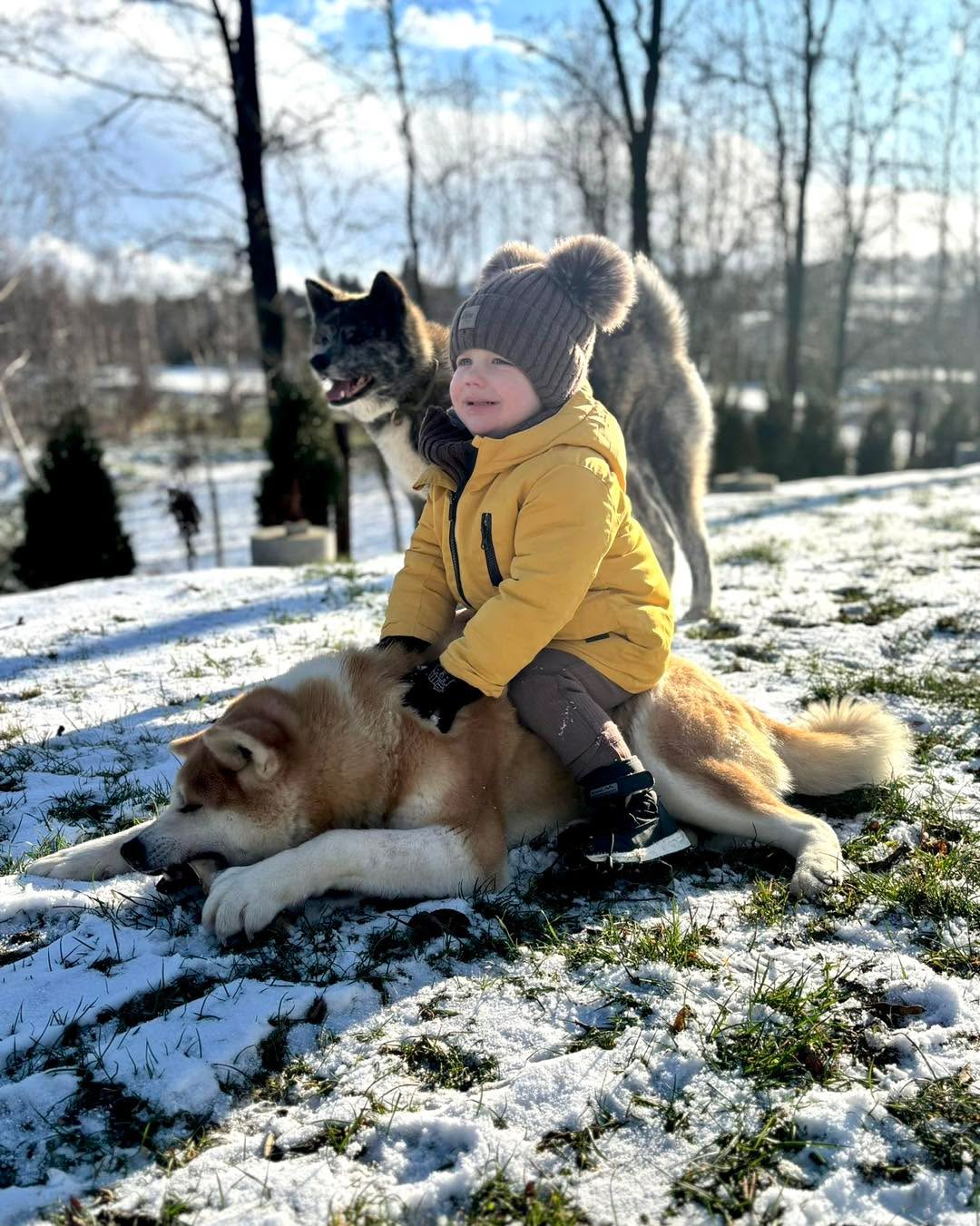 Mały człowiek i dwie wielkie osobowości ☺️❤️ #pieskiezycie #psy #akitaworld