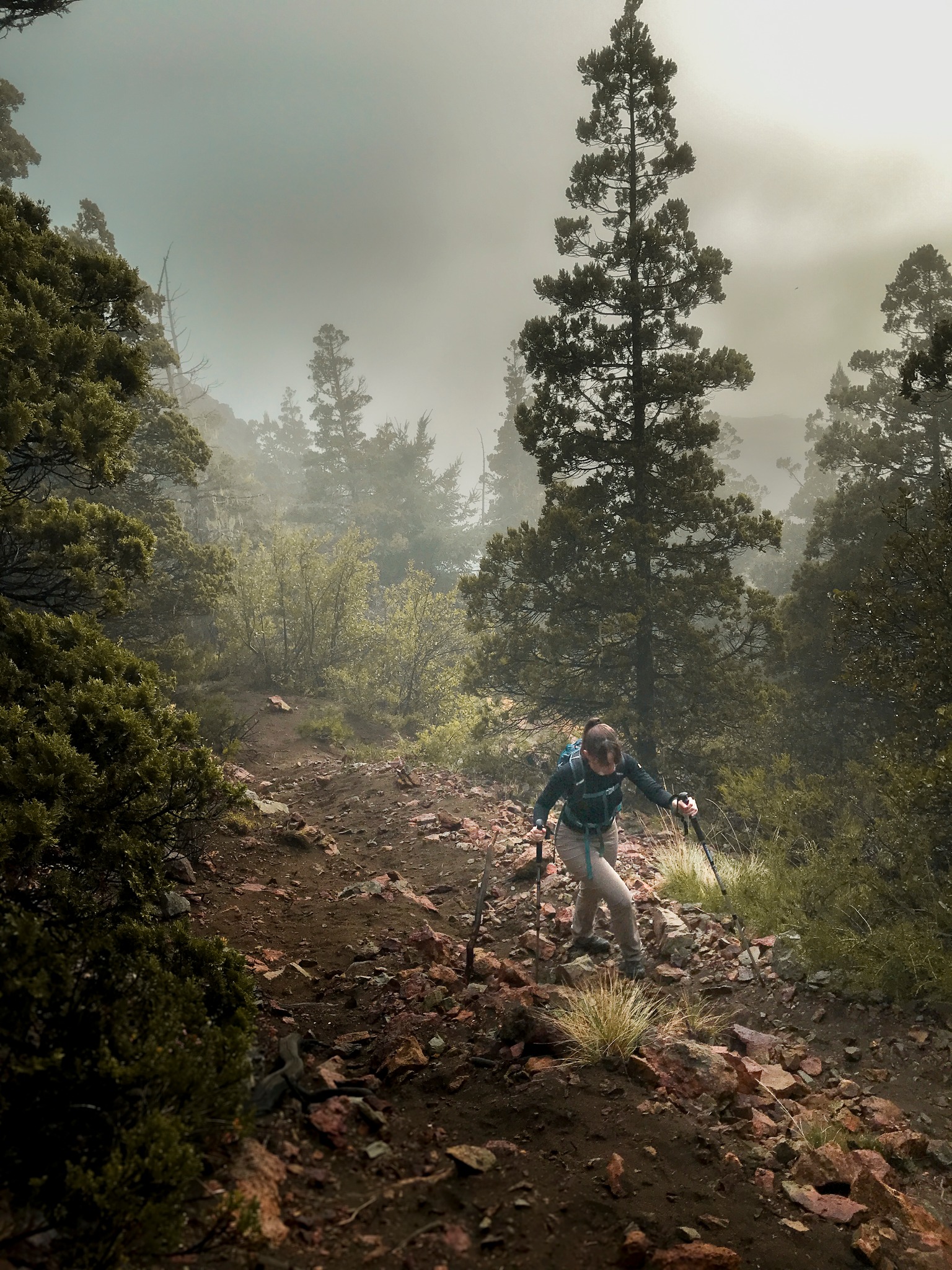 Esta foto también fue hecha con un celular.
No hay gran lente, ni sensor enorme.
Hay tiempo, dirección de luz y una escena que se arma mientras caminás.
En fotografía —también con el celular— muchas imágenes aparecen cuando dejás de buscar “la foto” y empezás a leer lo que está pasando delante tuyo.
Eso es lo que trabajamos en el Curso de Fotografía con Celular:
mirar mejor, anticiparse y usar la tecnología a favor de la escena.
📍 Curso presencial en Bariloche
📸 Fotografía real, con el celular que tengas.