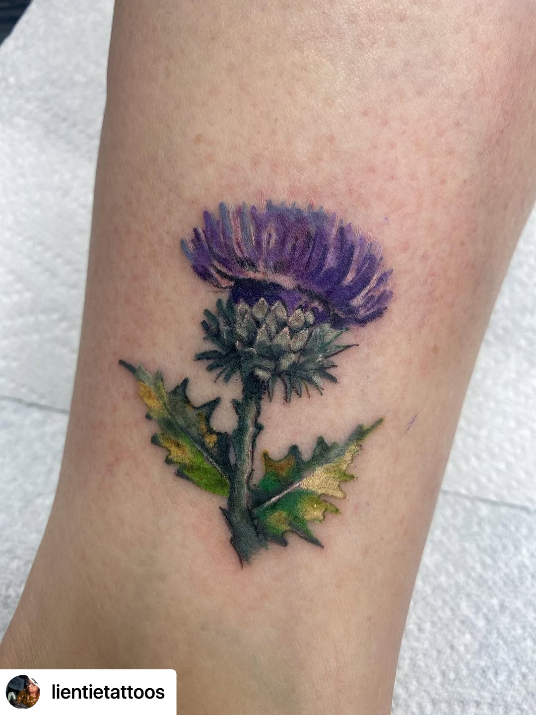 @lientietattoos Watercolour style thistle from the other day! Some people prefer their botanical tattoos more realistic, and some more watercolour style, so it’s nice to change it up in between ✨