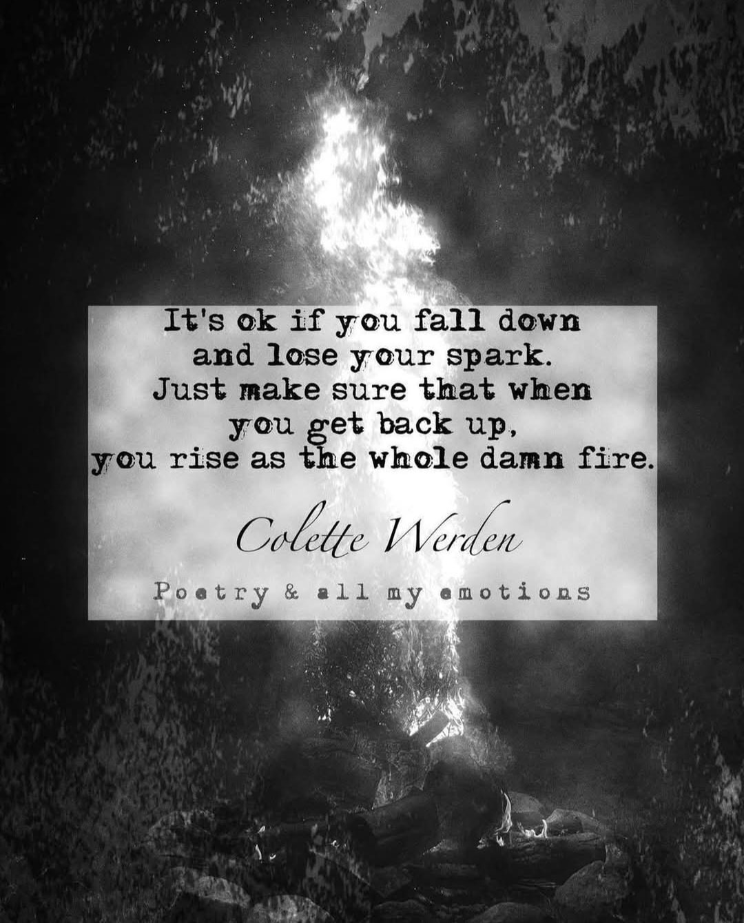 This week's #ShineVibes 💫