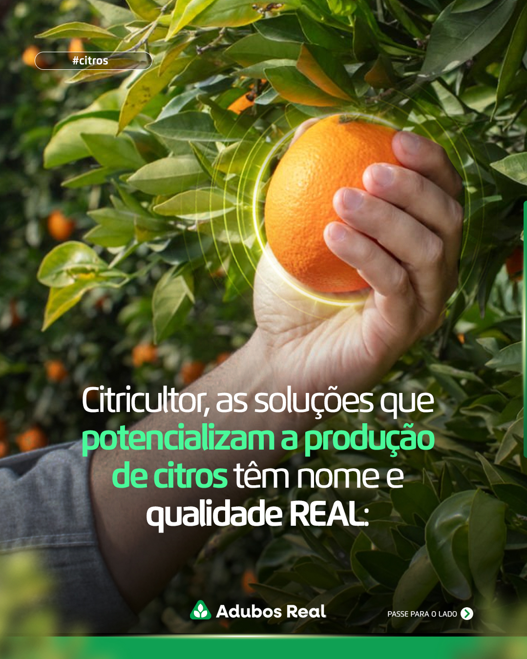 Tecnologias como Hydra-Hume, Nucleus 21 e Nucleus Ortho-Phos promovem:
✔️Maior absorção de nutrientes;
✔️Crescimento radicular;
✔️Equilíbrio da planta;
✔️Desenvolvimento mais eficiente do pomar.
Especialmente quando aplicadas via drench.
Quer entender como essa estratégia funciona na prática e quando aplicar cada solução?
👉 Fale com a gente pelo link na bio e aplique tecnologia Safra Real na sua lavoura.
#safrareal #nutrição #bioativador #adubosreal #citros #produtorrural #citricultura #citrus