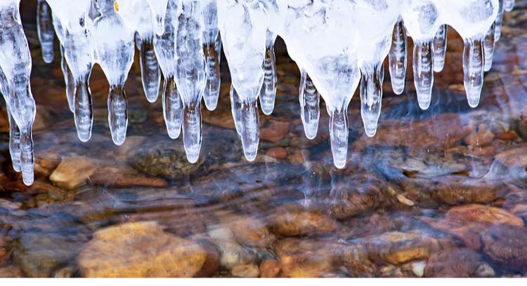 Jan 12 - Beauty everyday - Water Nipples!! 🤪