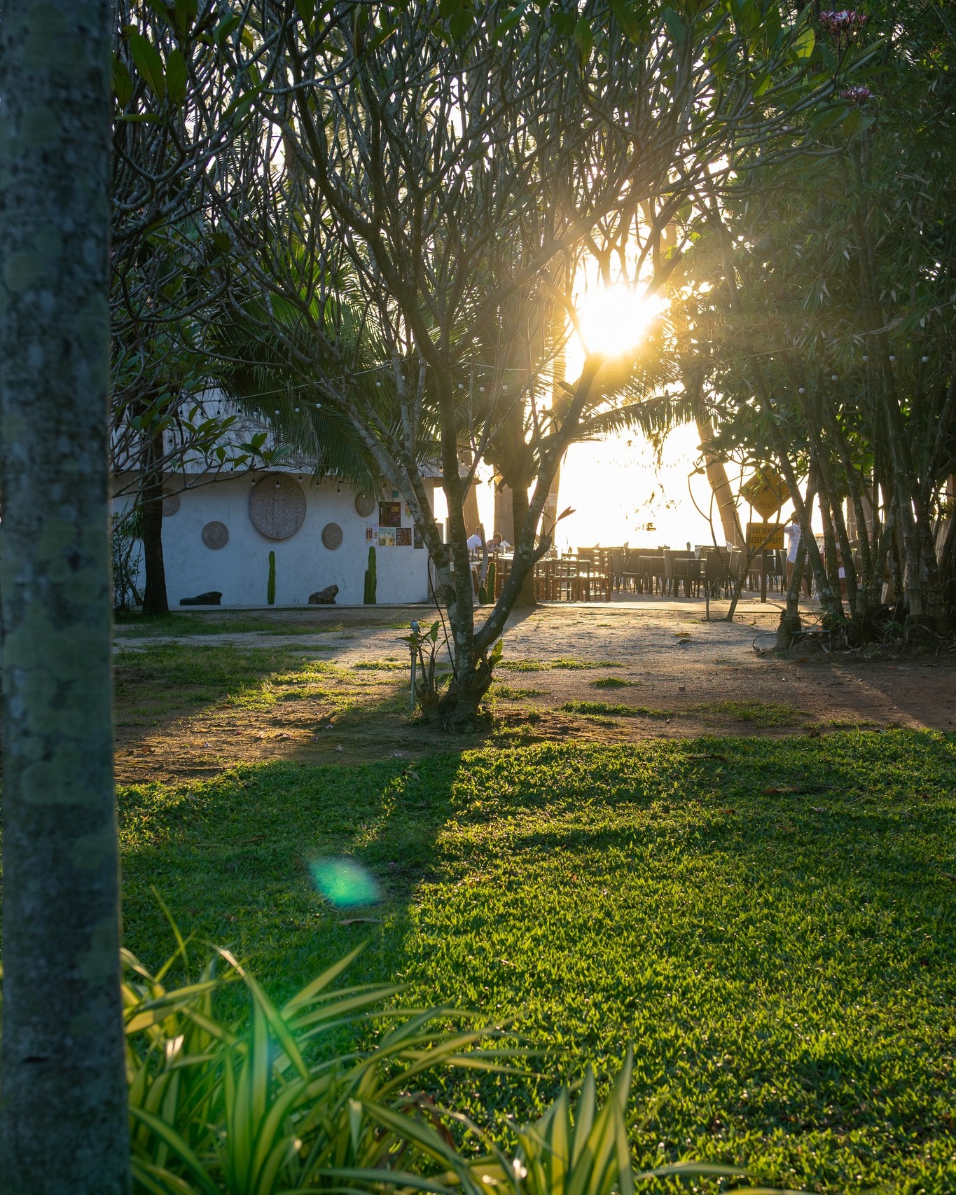 Your tropical rhythm... just the way island life should be💚
Enjoy our best direct booking rates here! ➡️ link in bio
📞094 432 8889
📩info@longbeachchalet.net
🌐www.longbeachchalet.ne