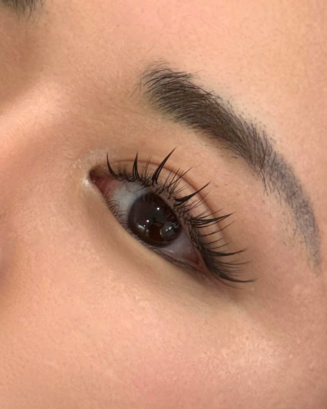 close-up of Starry Bio Lash ⭐⭐
also... our Bio Lash is fully customisable, so if you prefer a longer and fuller effect, opt for it! 😉
Get $10 off for first Bio Lash trial!
#perkylash #sglashextensions #biodegradablelash #biolash