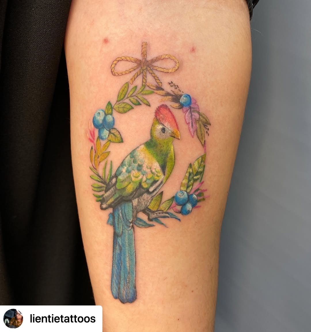 @lientietattoos This was a really fun tattoo! I got to tattoo this bird for Katy, and it’s one she looks after at her zoo. I forgot the name of it though sorry 😭
But the reference picture was one she took herself and then I put them on a colourful wreath. She also asked for blueberries to be added which are its favourite snack
I’m all about the bird tattoos 🐦
