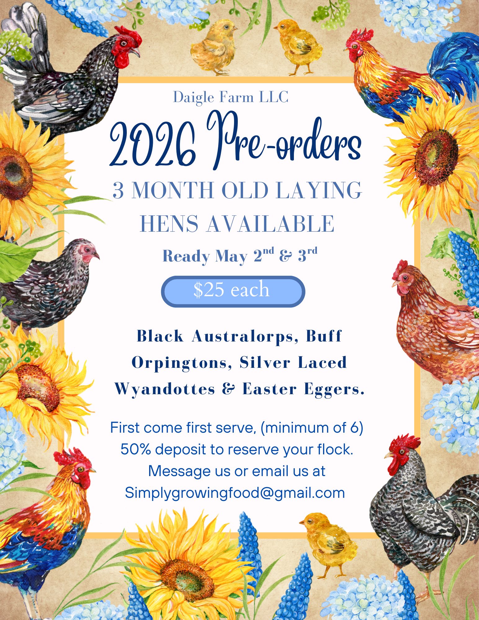 It’s time to start thinking about those spring chickens!!! We are only doing one round of spring chickens this year, so pre-order your new flock early!