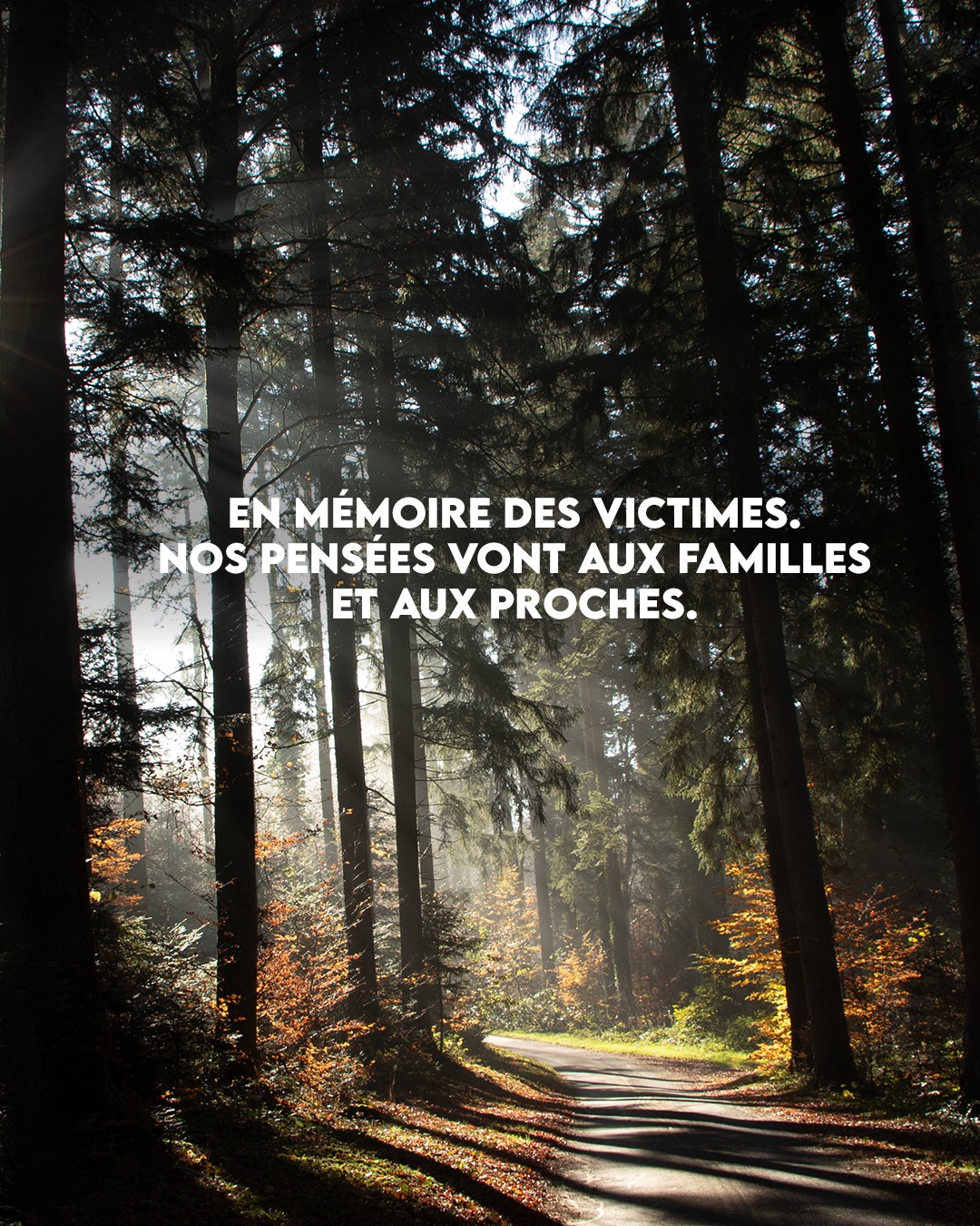 En cette journée de deuil national, les équipes du Montreux Trail Festival, de Crossing Switzerland, l’Humani’Trail et de la Course des Ânes sont unies dans la peine.
De très nombreux jeunes de notre région ont disparu. Pour plusieurs d’entre nous, ils avaient l’âge de nos propres enfants et, comme l’ensemble de notre communauté, nous restons profondément choqués par la brutalité de cet événement.
Nous sommes de tout cœur avec les parents et les proches des victimes et adressons également une pensée à celles et ceux qui luttent encore dans les différents hôpitaux, soutenus par des équipes médicales exceptionnelles.