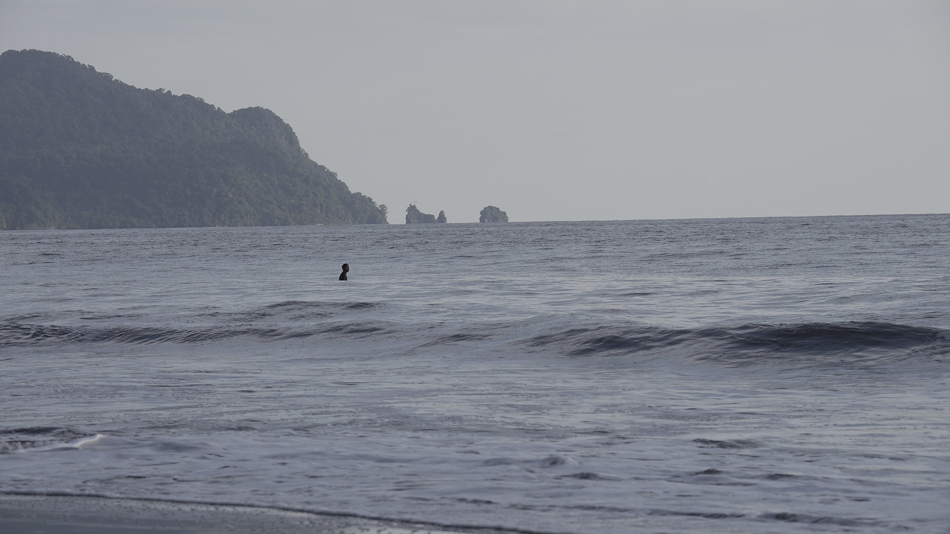 Podriamos pasar horas viendo a los pelicanos surfear las olas de playa brava, y podríamos pasar días tratando de imitar sus movimientos. Ven a surfear a playa brava o simplemente a ver los pelicanos dominar el aire y las olas.
#ecohotel #chocó #colombia
#surf # . .