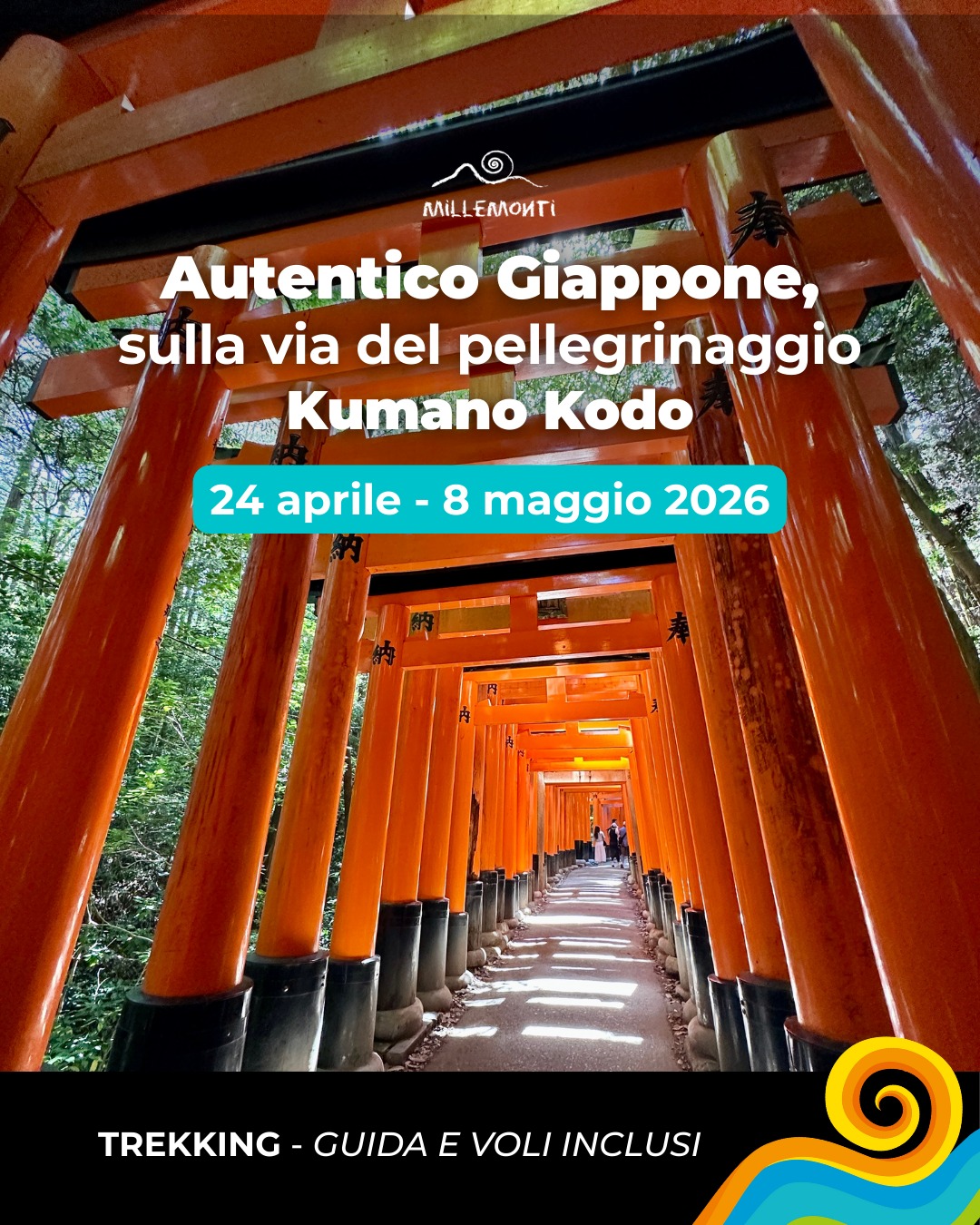 🇯🇵 Il GIAPPONE è un viaggio che resta nel cuore 🇯🇵
Dal 24 aprile all’8 maggio 2026 cammina con noi lungo il Kumano Kodō, la via sacra dei pellegrini, patrimonio UNESCO, nel cuore mistico della penisola di Kii ✨
Percorreremo le tappe più suggestive attraverso:
🌿 cammini sacri immersi nella natura incontaminata
🏯 santuari leggendari come Kumano Hongu Taisha e Nachi Taisha
🧖♂️ onsen naturali dove l’acqua calda sgorga direttamente dal fiume, come da tradizione ancestrale
🙏 una notte in un autentico alloggio monastico, tra silenzio, meditazione e cucina rituale
🏙Fino poi a raggiungere il fascino senza tempo delle grandi città: #Osaka, #Kyoto e #Tokyo.
✅ Il tutto accompagnato da una Guida professionista MilleMonti, che partirà con te dall’Italia e ti accompagnerà passo dopo passo!
👉🏻Scopri il programma di viaggio su www.millemonti.it e unisciti a noi!
🇯🇵✨ Ami il Giappone ma hai già visitato il Kumano Kodo❓ È tempo di spingerti oltre!
A novembre ti portiamo nel cuore più segreto del Paese, lungo il leggendario Cammino degli 88 Templi di Shikoku!
#millemonti #outdoors #trekking #viaggiare #viaggi #viaggio #vacanza #vacanze #viaggiotrekking #vacanzedigruppo #viaggiodigruppo #KumanoKodo
@sportlandweb_ @kayland_official @rockexperienceofficial @guidealpinelombardia @guidealpine_italiane