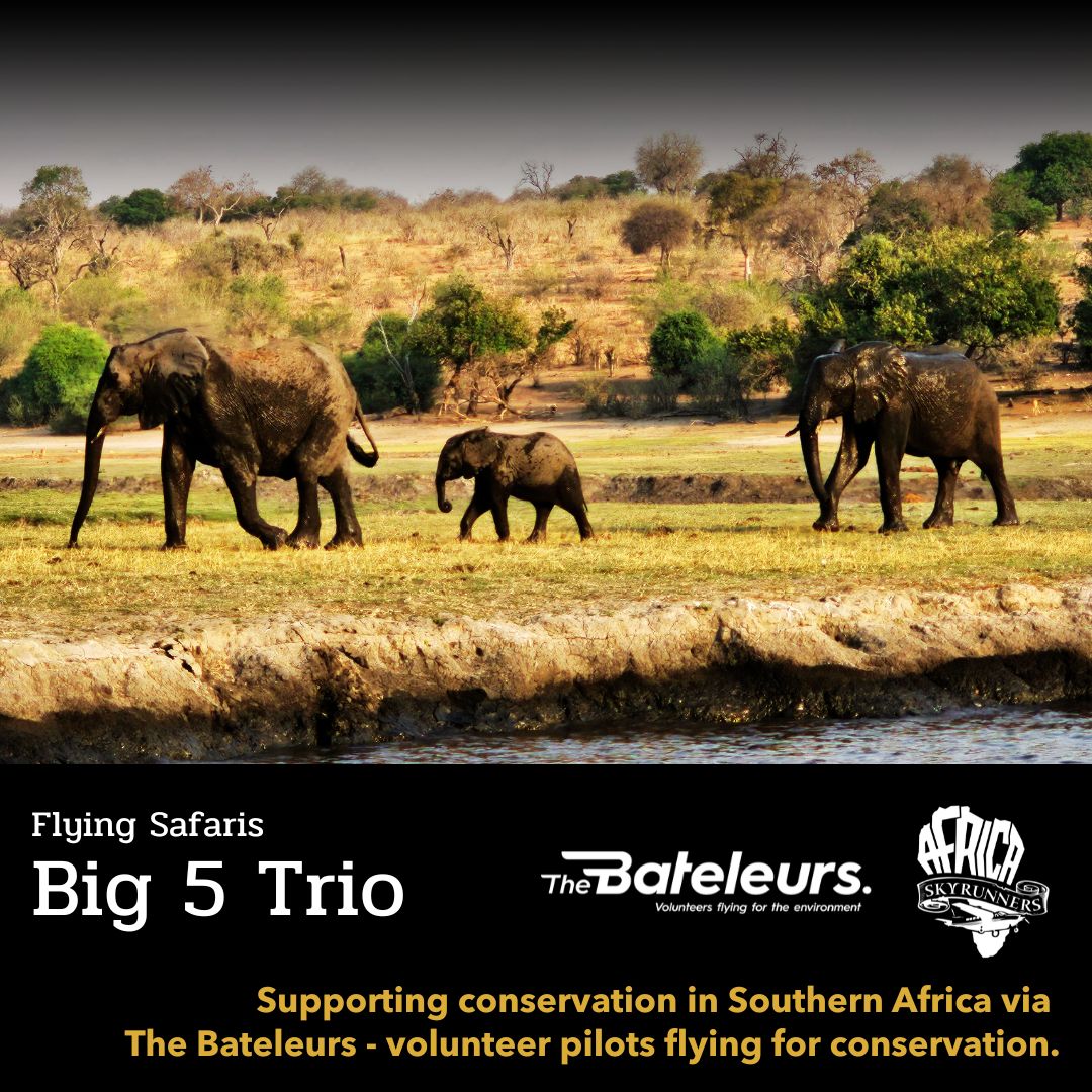 When you book our Big 5 Trio flying safari, we donate funds to The Bateleurs, who in turn supports numerous conservation organisations across Southern Africa with aerial support – wildlife rescues, relocations, surveys. Which means your journey directly impacts conservation efforts. This matters to us because beautiful places deserve protection, not just photographs.
👉 https://bit.ly/ASRwesupport
Experience three of Southern Africa’s premier Big 5 destinations in one seamless journey: Madikwe’s predator action and wild dogs, the exclusivity of Welgevonden’s mountain landscapes, and exceptional birding in the Makuleke concession at Pafuri, northern Kruger.
Your own dedicated aircraft links these iconic reserves - no road delays, just pure safari immersion and time on the ground.
From $7,400 per person (group of four); wildlife and wilderness, precisely the way it should be. 👉 https://bit.ly/flysafaris
Live your dream. Fly the wild.
📞💬+27 (0)83 760 1330
📨info@africaskyrunners.com
#AfricaSkyRunners #FlyingSafari #AirSafariAdventure #WingsOverAfrica #ExploreFromAbove #Bateleurs #Conservation