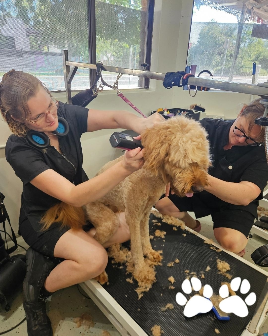 🔔 Anxious Dog Appointments 🔔
We've recently changed our structure for our anxious clients. Instead of offering 3pm appointments we are now offering appointments at 9am and 12pm. We've enabled it so there can be 2 groomers to assist with anxious dogs (which is usually the case). These appointments are charged at a premium price, starting from $150 for small dogs.
Whilst we love assisting our anxious pups we cannot continue grooming dogs with extreme aggressive behaviour or dogs that bark the salon down. We need to be respectful of our fellow business owners in the same building.