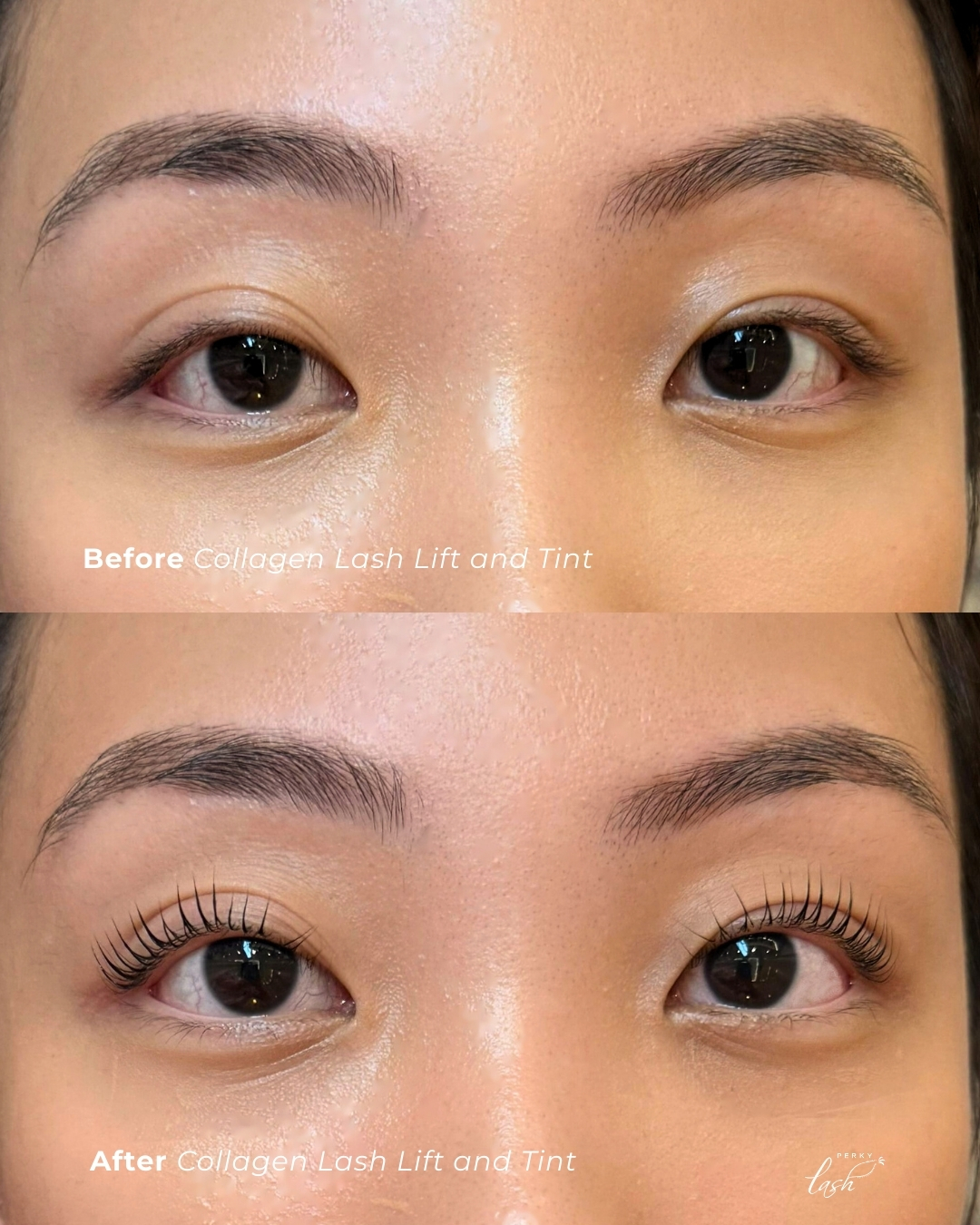 From straight & sleepy to lifted & wide-eyed 😍
No extensions, just your natural lashes getting the glow-up they deserve 😉
#perkylash #lashlift #sglashes #sglashsalon