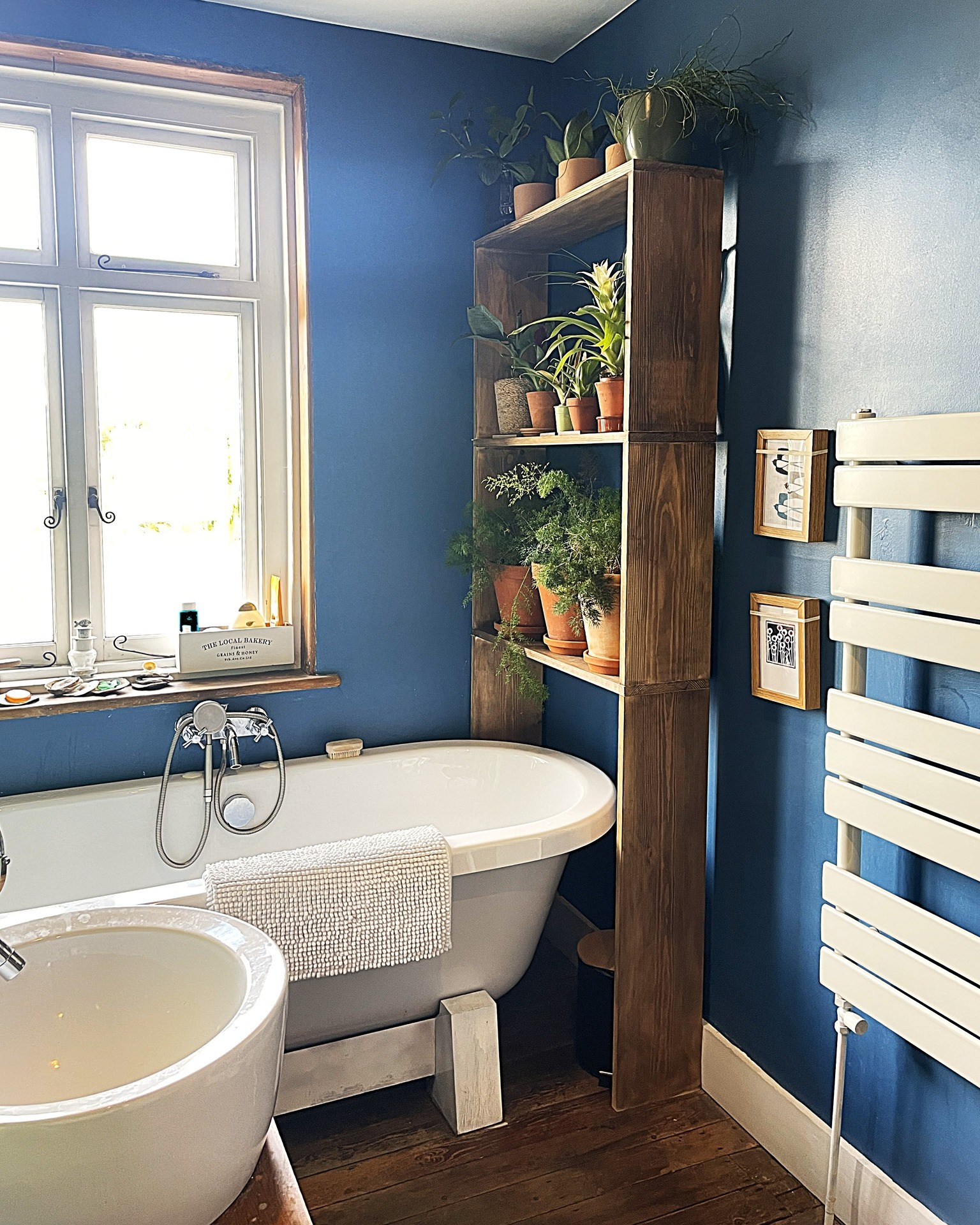 A bathroom renovation doesn’t always have to mean a full new suite. Alongside the kitchen, it’s often the room in the home that can start to feel tired the quickest.
I recently worked on refreshing this bathroom, which was over 10 years old, focusing on a few considered updates. We replaced key elements with simple fixes, such as a new shower head and tap, but the biggest impact has definitely been the addition of the new plant shelving.
Plants like these thrive in damp environments — and what’s better than bathing in nature? Bringing the two together has created this beautiful, green wall-style shelving above the bath, forming the perfect space to unwind.
Finished with a bold royal blue paint transformation, we’re thrilled with the results. More images coming soon.